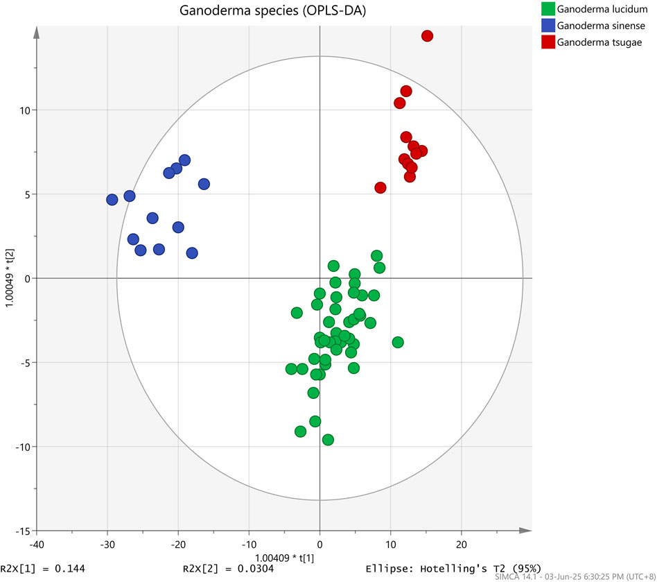 Scatter plot showing OPLS-DA analysis of Ganoderma species, with green dots representing Ganoderma lucidum, blue dots representing Ganoderma sinense, and red dots representing Ganoderma tsugae. Data points are distributed within an ellipse, with Ganoderma lucidum clustered near the center, Ganoderma tsugae upper right, and Ganoderma sinense left. Axes are labeled with scores.
