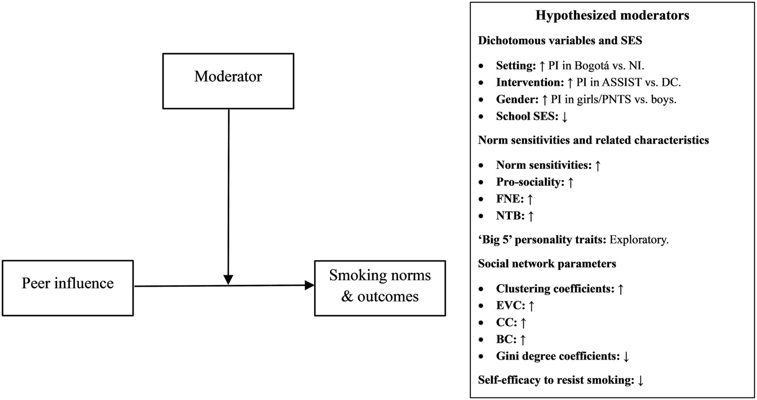 Flowchart depicting a model where "Peer influence" affects "Smoking norms & outcomes," moderated by various factors. Moderators include setting, intervention, gender, school socioeconomic status, norm sensitivities, pro-sociality, fear of negative evaluation, need to belong, personality traits, social network parameters, and self-efficacy to resist smoking. Hypothesized moderators are listed with increases or decreases indicated by arrows.