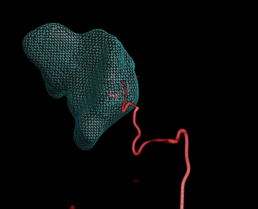 Abstract digital art featuring a blue wireframe mesh resembling an organic shape against a black background. A winding red line loops and twists from the mesh structure, adding contrast.
