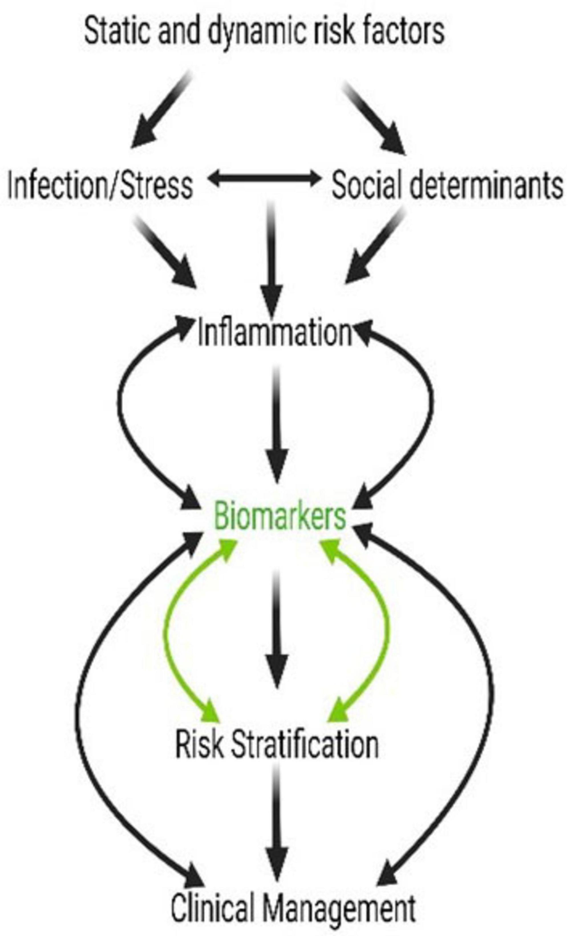 Flowchart illustrating the pathway from risk factors to clinical management. Static and dynamic risk factors lead to infection/stress and social determinants, causing inflammation. Inflammation affects biomarkers, influencing risk stratification, which guides clinical management. Arrows indicate flow direction and interaction.
