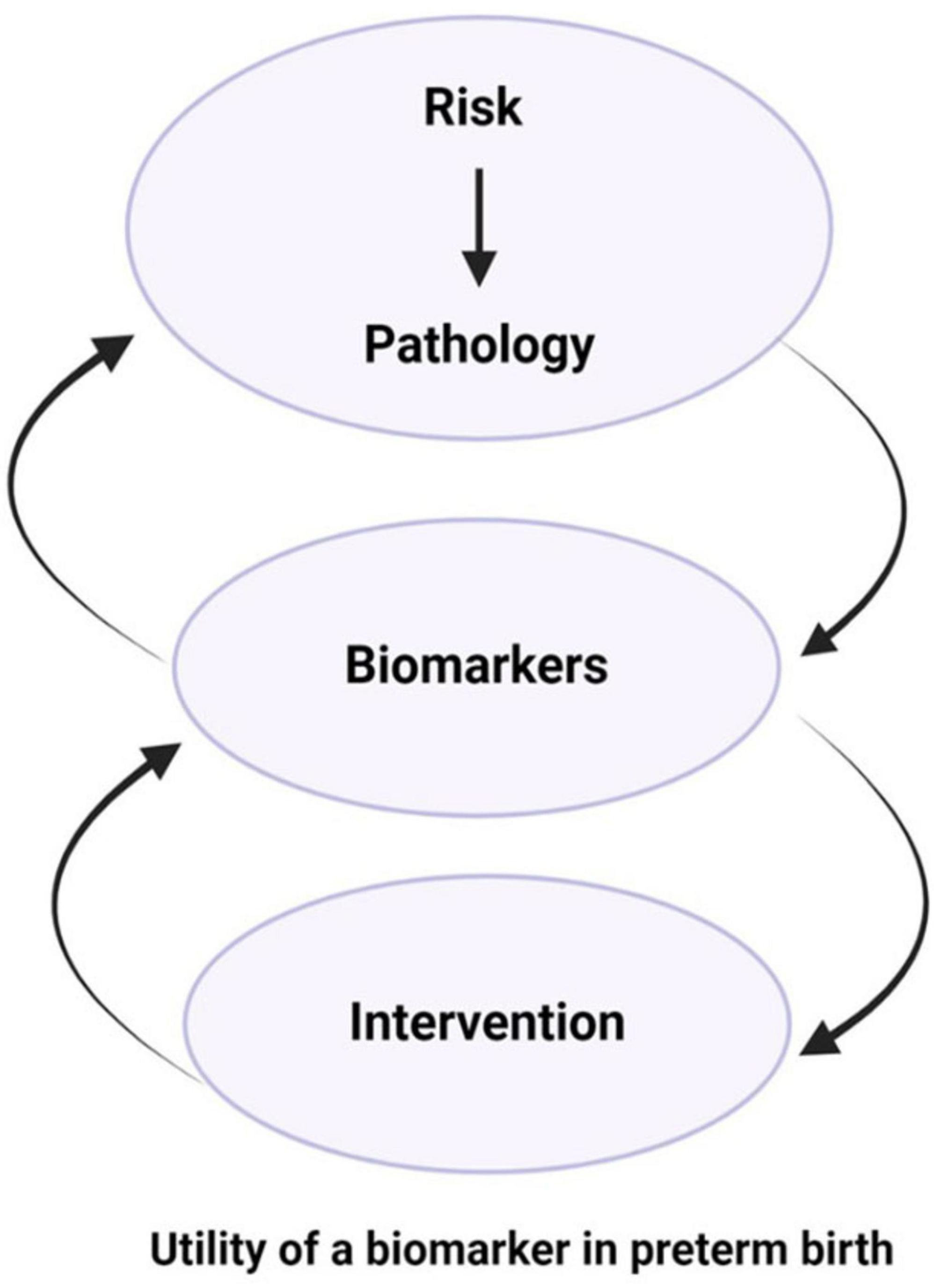 Flowchart illustrating the utility of a biomarker in preterm birth. It shows three stages in oval shapes: “Risk” leading to “Pathology,” then to “Biomarkers,” and finally to “Intervention.” Arrows indicate the progression and feedback loops between stages.