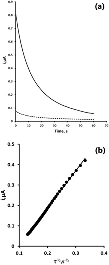 Graph (a) displays current (i, in microamperes) versus time (in seconds), with one curve decreasing and another flat. Graph (b) shows current plotted against the square root of time, forming a straight upward trend.