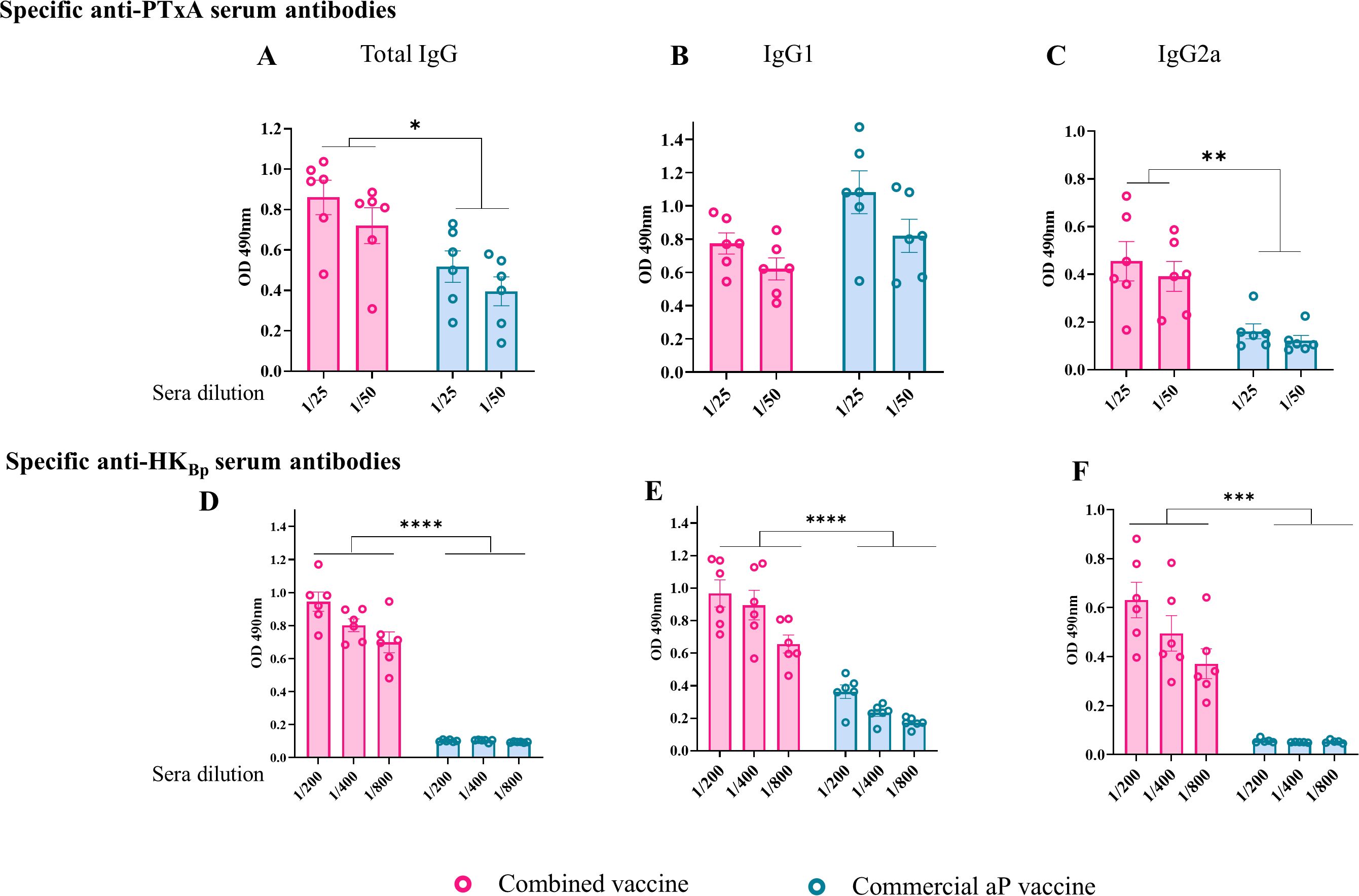 Bar charts illustrating specific serum antibodies: Panels A, B, and Cshow anti-PTxA IgG, IgG1, and IgG2a levels, respectively, with pink bars for combinedvaccine and blue for commercial aP vaccine. Panels D, E, and F display anti-HKBpIgG, IgG1, and IgG2a levels with the same color scheme. Data points, bar heights, andsignificance are indicated by asterisks (* p < 0.05, ** p < 0.01, *** p < 0.001, **** p <0.0001). OD 490 nm values were measured at various sera dilutions.