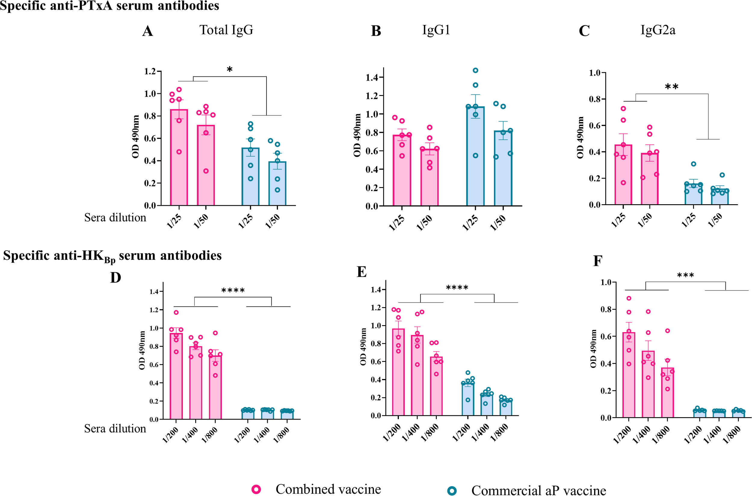 Bar charts illustrating specific serum antibodies: Panels A, B, and Cshow anti-PTxA IgG, IgG1, and IgG2a levels, respectively, with pink bars for combinedvaccine and blue for commercial aP vaccine. Panels D, E, and F display anti-HKBpIgG, IgG1, and IgG2a levels with the same color scheme. Data points, bar heights, andsignificance are indicated by asterisks (* p < 0.05, ** p < 0.01, *** p < 0.001, **** p <0.0001). OD 490 nm values were measured at various sera dilutions.