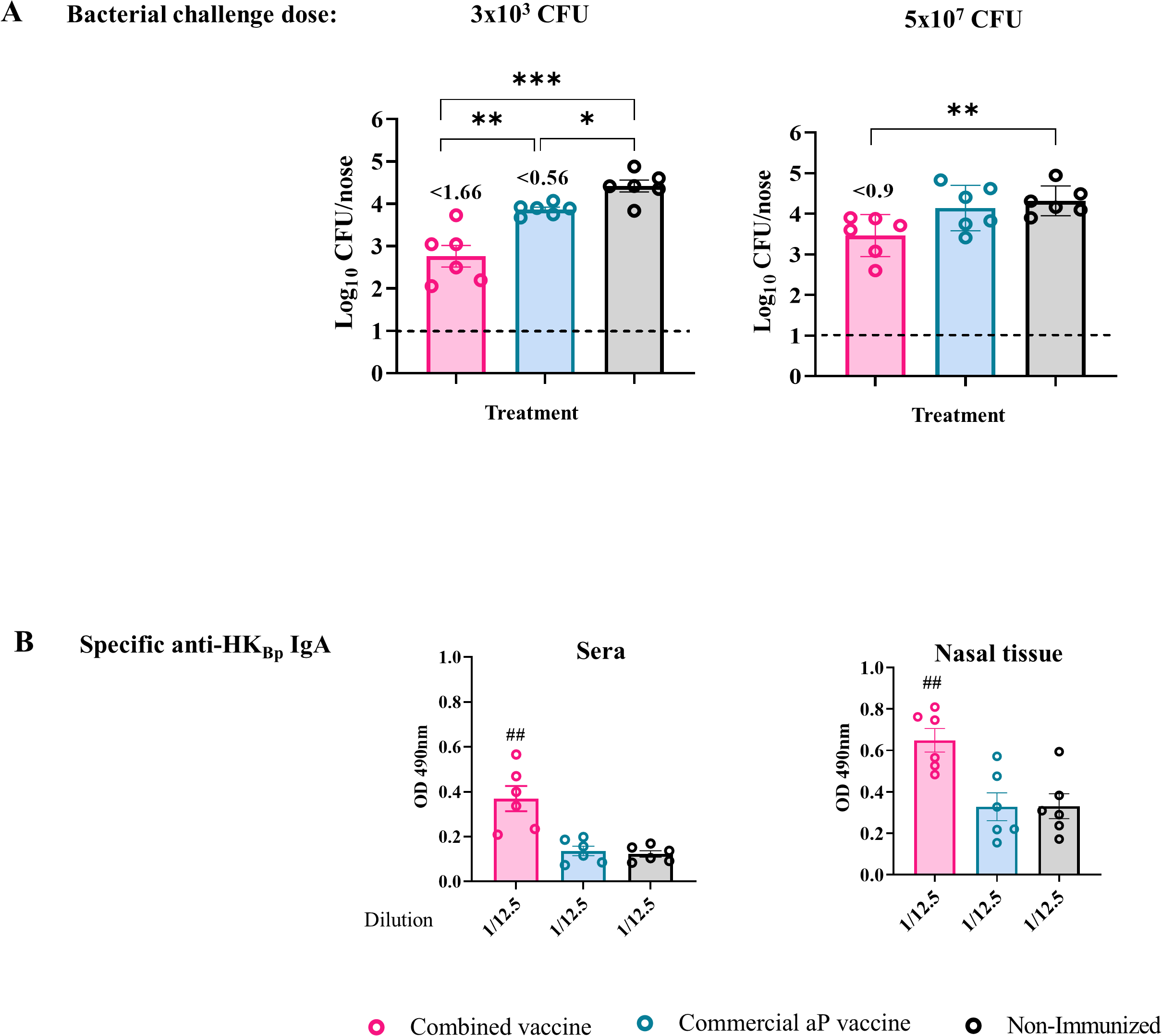 Bar graphs display immune response and bacterial load aftervaccination challenges. Graph A shows bacterial colony-forming units per nose afterdifferent bacterial doses. Graph B illustrates specific anti-HKBp IgA levels in sera andnasal tissue, comparing a combined vaccine, commercial aP vaccine, and nonimmunizedgroups. Data indicate significant differences across treatments.