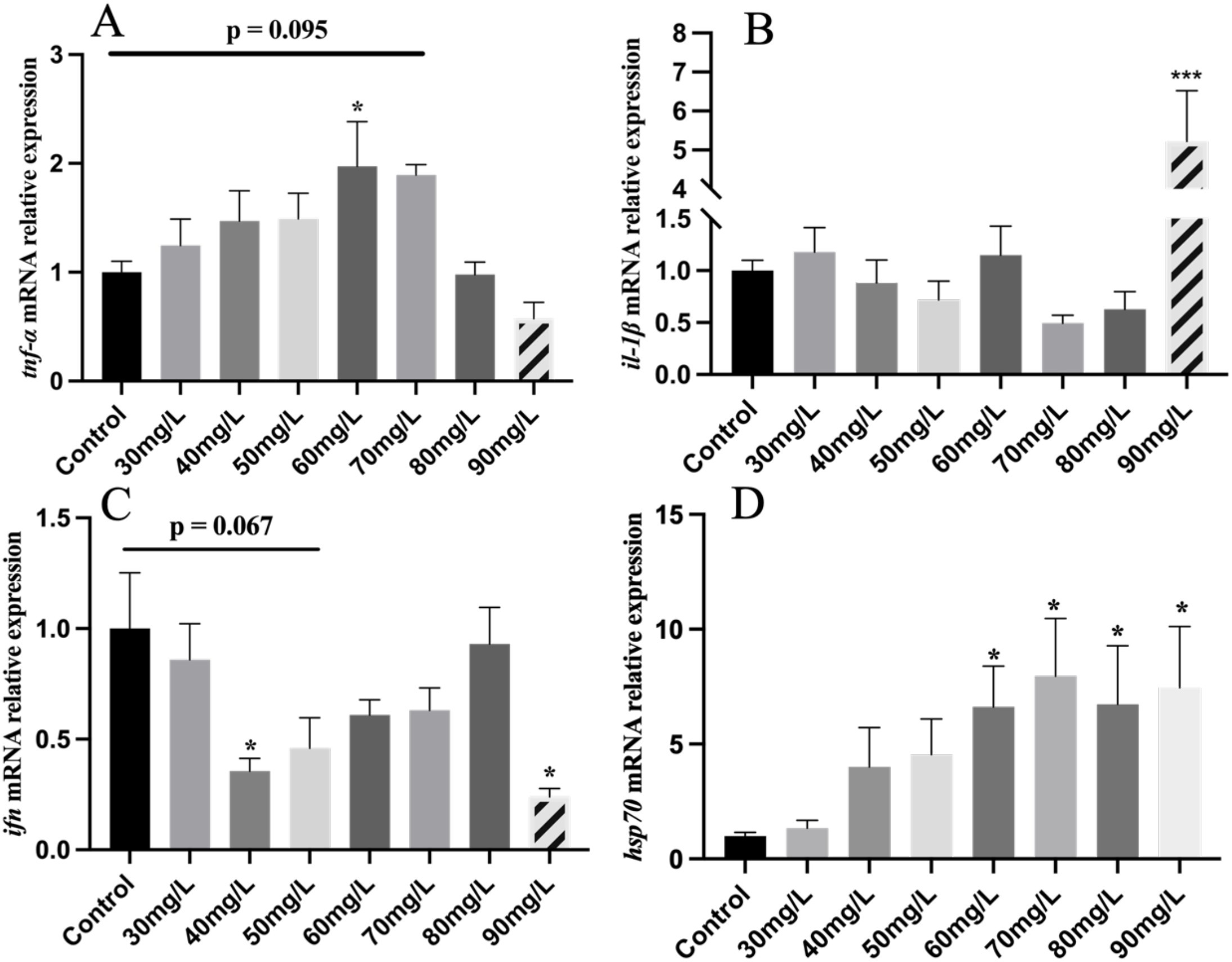 Bar charts labeled A to D illustrate the relative expression of different mRNAs across varying concentrations. Chart A shows *tnf-α* mRNA peaking at 70 mg/L. Chart B indicates *il1β* mRNA significantly rising at 90 mg/L. Chart C displays *ifn* mRNA declining at 90 mg/L. Chart D shows *hsp70* mRNA increasing at doses from 60 mg/L to 90 mg/L, peaking around 80 mg/L. Bars are compared to a control and marked with significance levels.