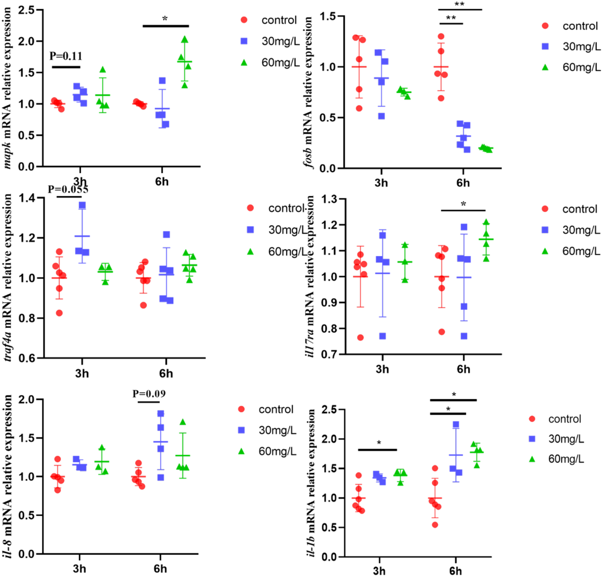 Six scatter plots display relative mRNA expression levels over time. Each plot compares three groups: control, 30 mg/L, and 60 mg/L, represented by red circles, blue squares, and green triangles, respectively. Time points are at 3 hours and 6 hours. Genes analyzed include mupk, fkbp, tr4, il17ra, il8, and il1b. Statistical significance is indicated with asterisks, with a P-value shown for mupk and tr4.