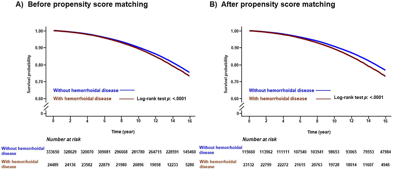 Two Kaplan-Meier survival probability graphs comparing individuals with and without hemorrhoidal disease over time, up to sixteen years. Graph A is before propensity score matching; Graph B is after. Both graphs show higher survival probability for those without hemorrhoidal disease, with a log-rank test p-value of less than 0.0001. The number at risk is listed below each graph for each group.