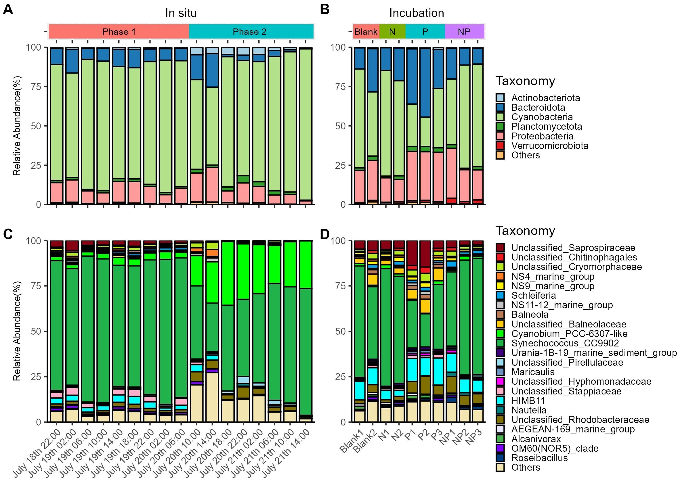 Bar charts displaying the relative abundance of different taxonomic groups across various conditions. Panel A (at the phylum level) and panel C (at other taxonomic levels) shows “In situ” conditions with two phases. Panel B (at the phylum level) and panel D (at other taxonomic levels) represents “Incubation” conditions with different treatments: Blank, N, P, and NP. Each color represents a distinct taxonomic group, as indicated in the legend on the right, including Actinobacteriota, Bacteroidota, and Cyanobacteria, among others.