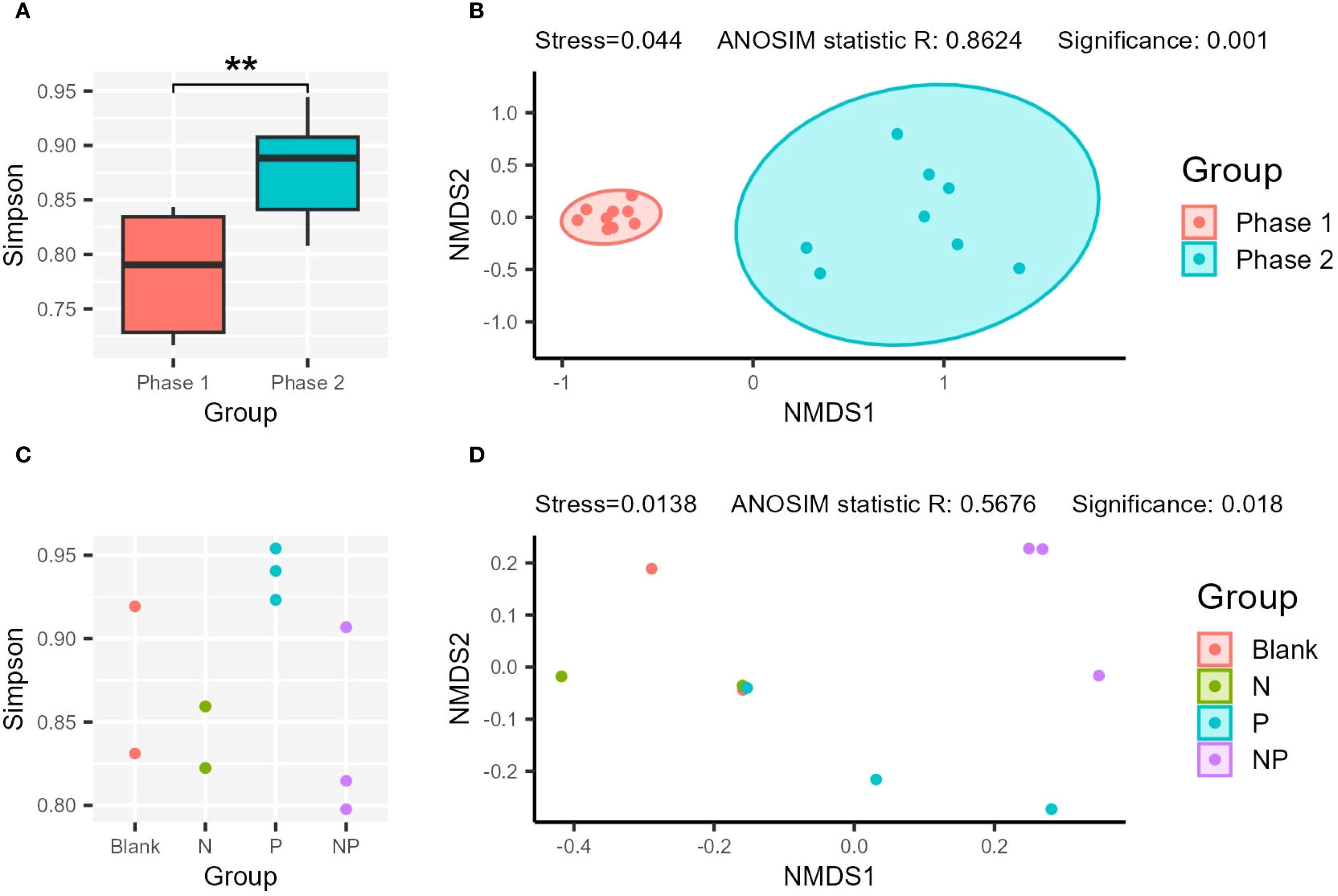A set of four charts comparing diversity and group differences. (A) Boxplot comparing Simpson index between Phase 1 and Phase 2 groups, showing higher diversity in Phase 2. (B) Non-metric multidimensional scaling (NMDS) plot comparing Phase 1 and Phase 2, with ANOSIM statistic R of 0.8624, significance 0.001. (C) Scatter plot of Simpson index across groups: Blank, N, P, and NP. (D) NMDS plot of groups Blank, N, P, and NP, with ANOSIM statistic R of 0.5676, significance 0.018.