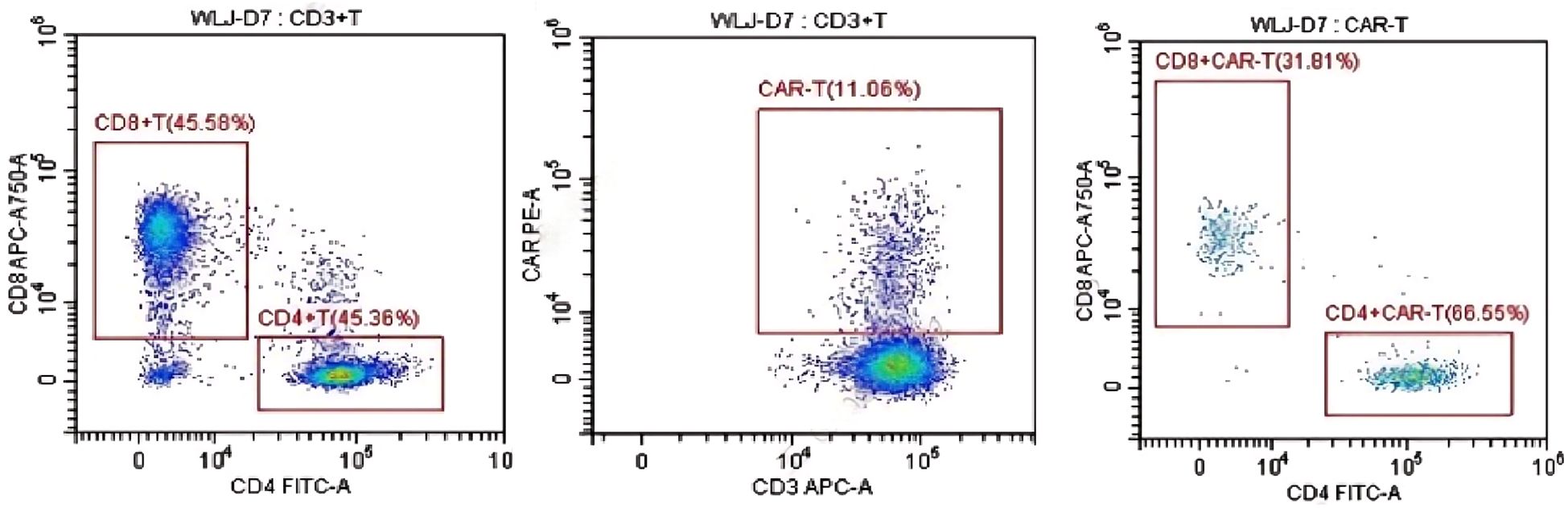 Three flow cytometry plots displaying data from WLJ-D7 sample. The left plot shows CD3+ T cells with CD8+ T cells at 45.58% and CD4+ T cells at 45.36%. The middle plot highlights CAR-T cells at 11.06%. The right plot displays CAR-T cells with CD8+ CAR-T at 31.81% and CD4+ CAR-T at 66.55%.