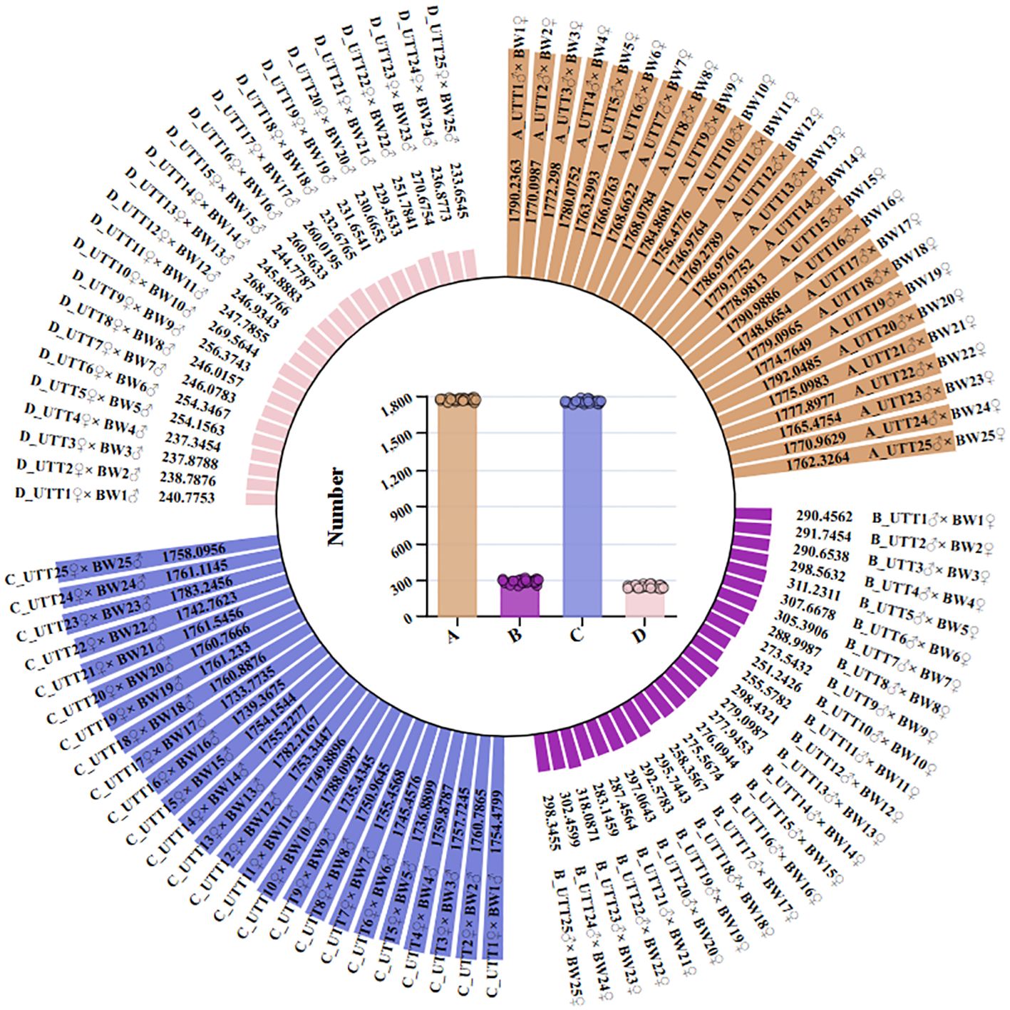 Circular bar chart categorizing numbers labeled A, B, C, and D in distinct colors: brown, purple, blue, and pink. Each segment has detailed numerical data distributed in sections around the central chart.
