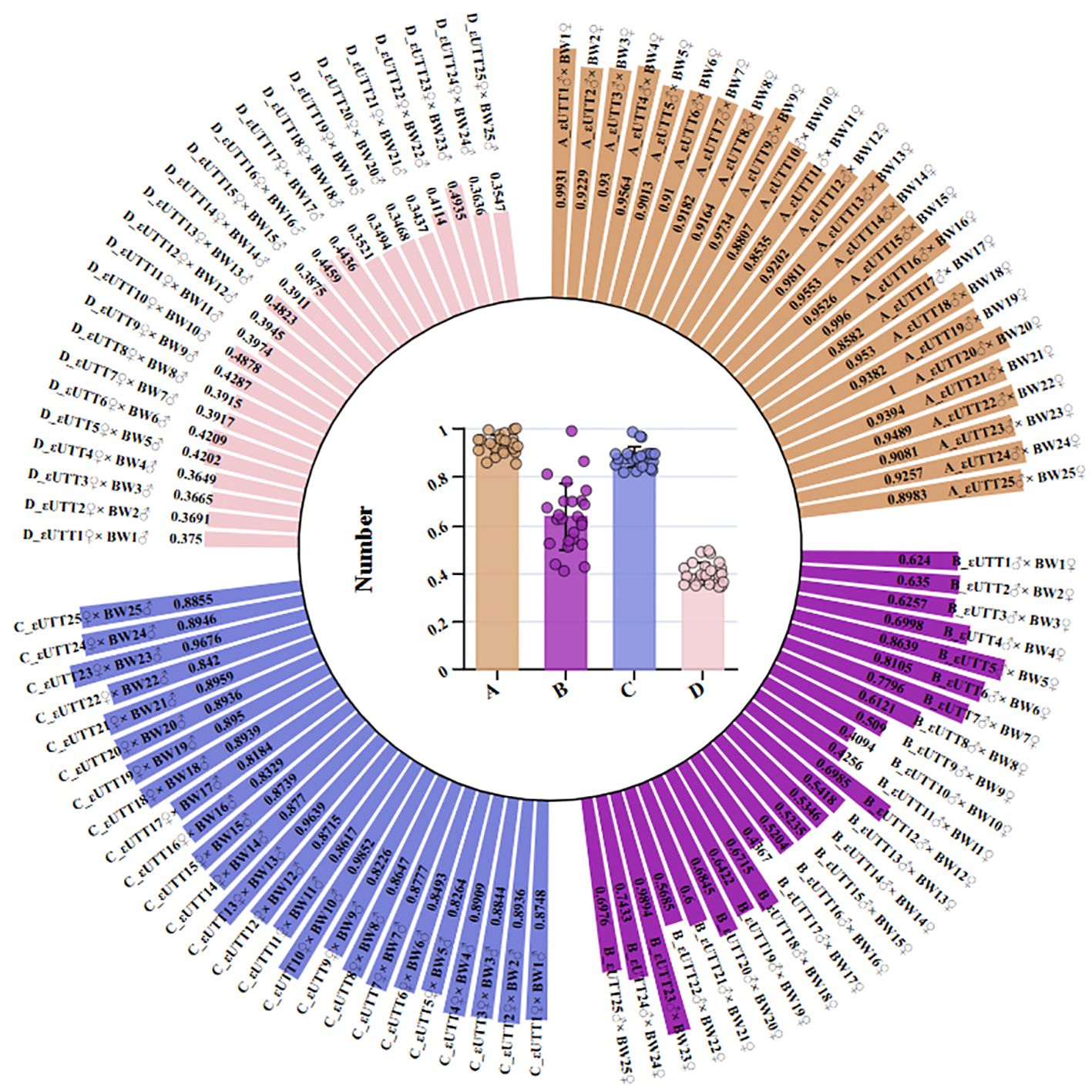 Circular bar chart with an inner bar graph comparing data across categories A, B, C, and D. Each ring segment outside the circle represents different data points with numerical values. Inner bar graph shows varying heights for each category, indicating different values associated with each.