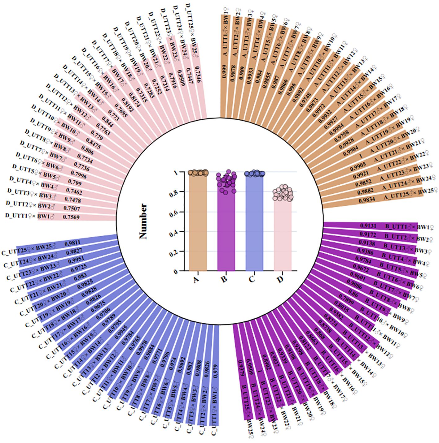 Circular chart with four colored sections labeled A, B, C, and D, each displaying various combinations of UTT and BW values. Central bar graph shows number distribution for each section. Inner bars correspond to outer chart segments, emphasizing data clustering and numerical relationships.