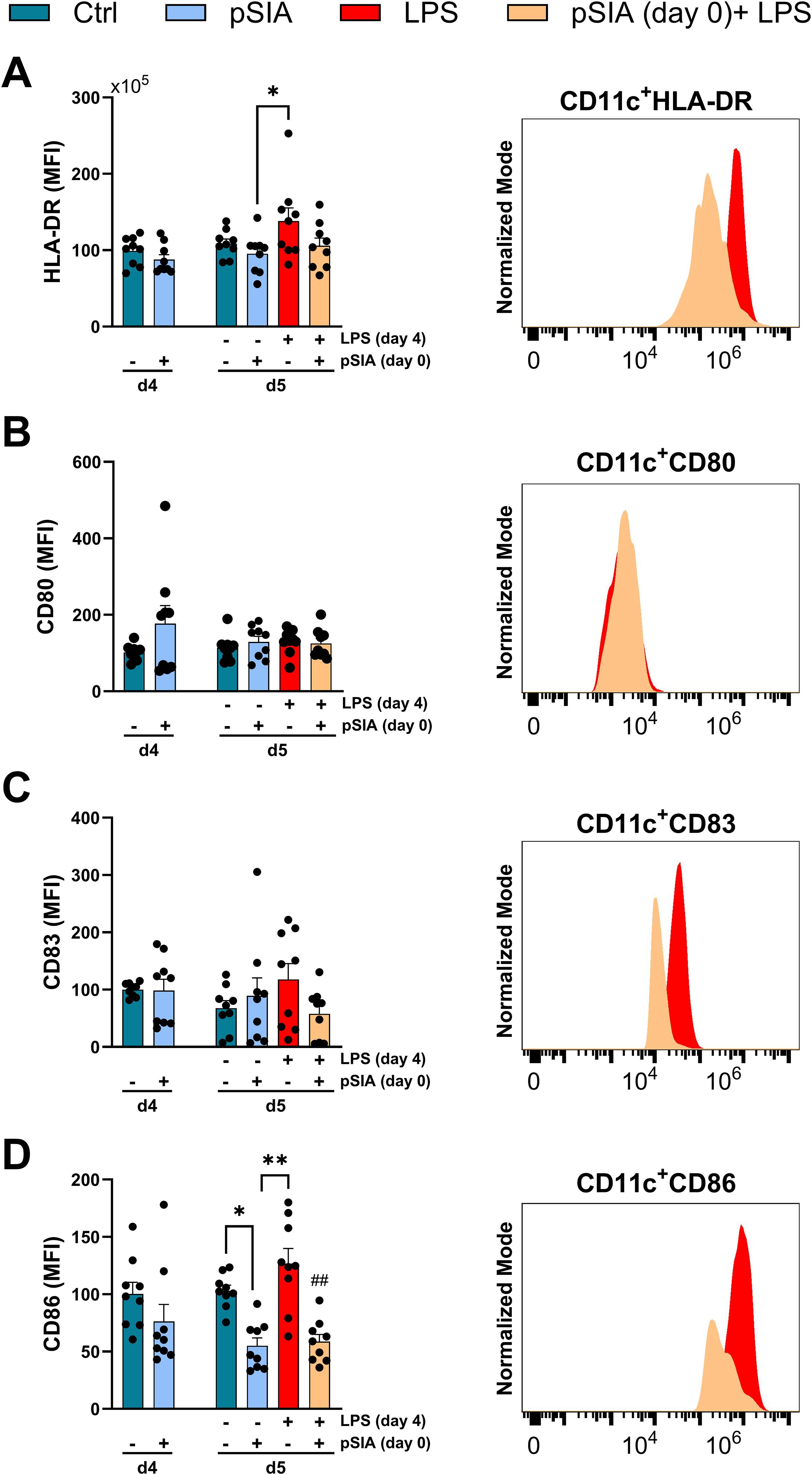 Bar charts and flow cytometry histograms depict immune cell marker expression. Panels A to D show HLA-DR, CD80, CD83, and CD86 expression levels, respectively, under different treatments: Control, pSIA, LPS, and combined pSIA with LPS. Histograms on the right correspond to each marker's expression profile for CD11c+ cells. Statistical significance is indicated with asterisks.