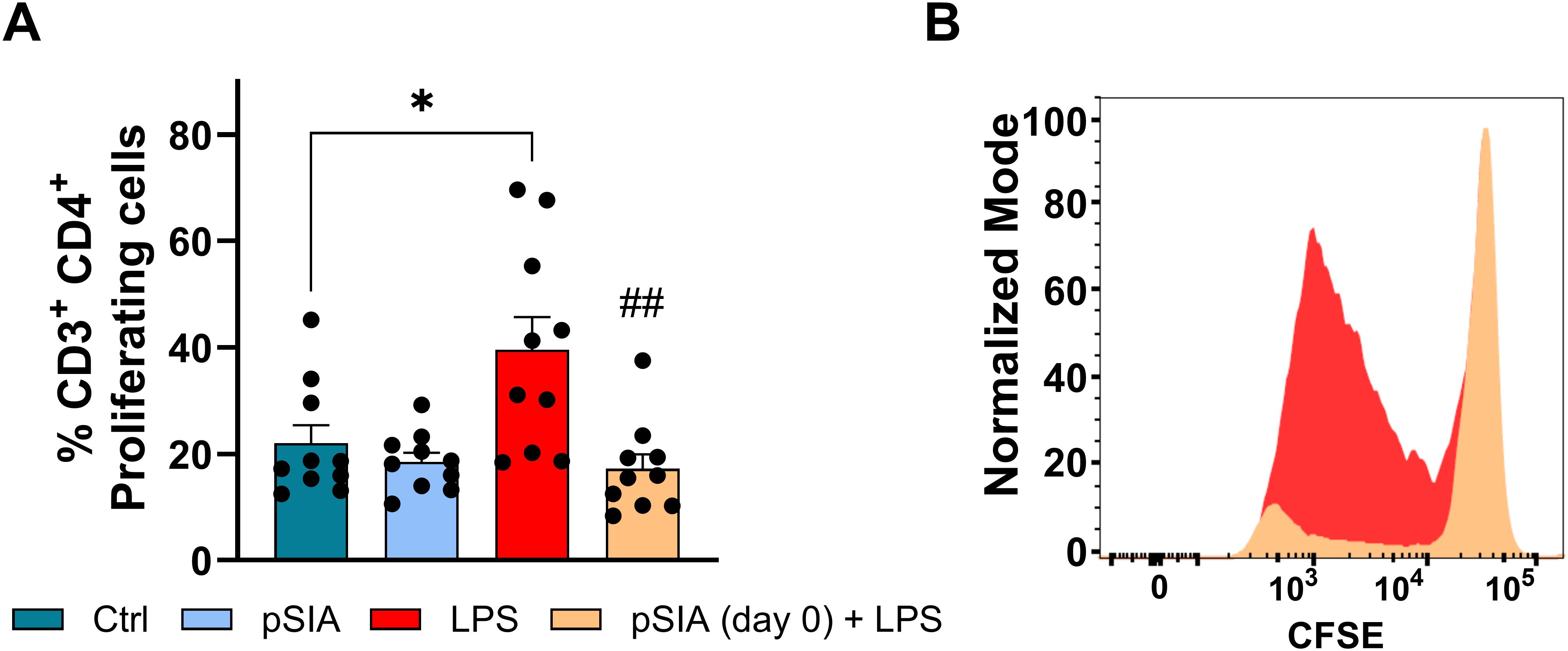Panels comparing CD3⁺ CD4⁺ T-cell proliferation in co-culture with human monocyte-derived dendritic cells (DCs) after different treatment conditions. A) Bar graph showing the mean percentage (± SEM) of proliferating T cells across four conditions: untreated DCs (Control; PBS-treated, negative control), DCs treated with α2.8-polySIA alone from day 0 (pSIA), DCs stimulated with LPS alone (LPS; positive control for activation), and DCs treated with both pSIA from day 0 and LPS (pSIA + LPS). Statistical significance is indicated by asterisks and hash symbols. B) Representative CFSE dilution histogram comparing proliferation profiles of T cells co-cultured with LPS-treated versus pSIA + LPS-treated DCs. The two curves show distinct peaks, indicating reduced proliferation in the pSIA + LPS condition compared with LPS alone.