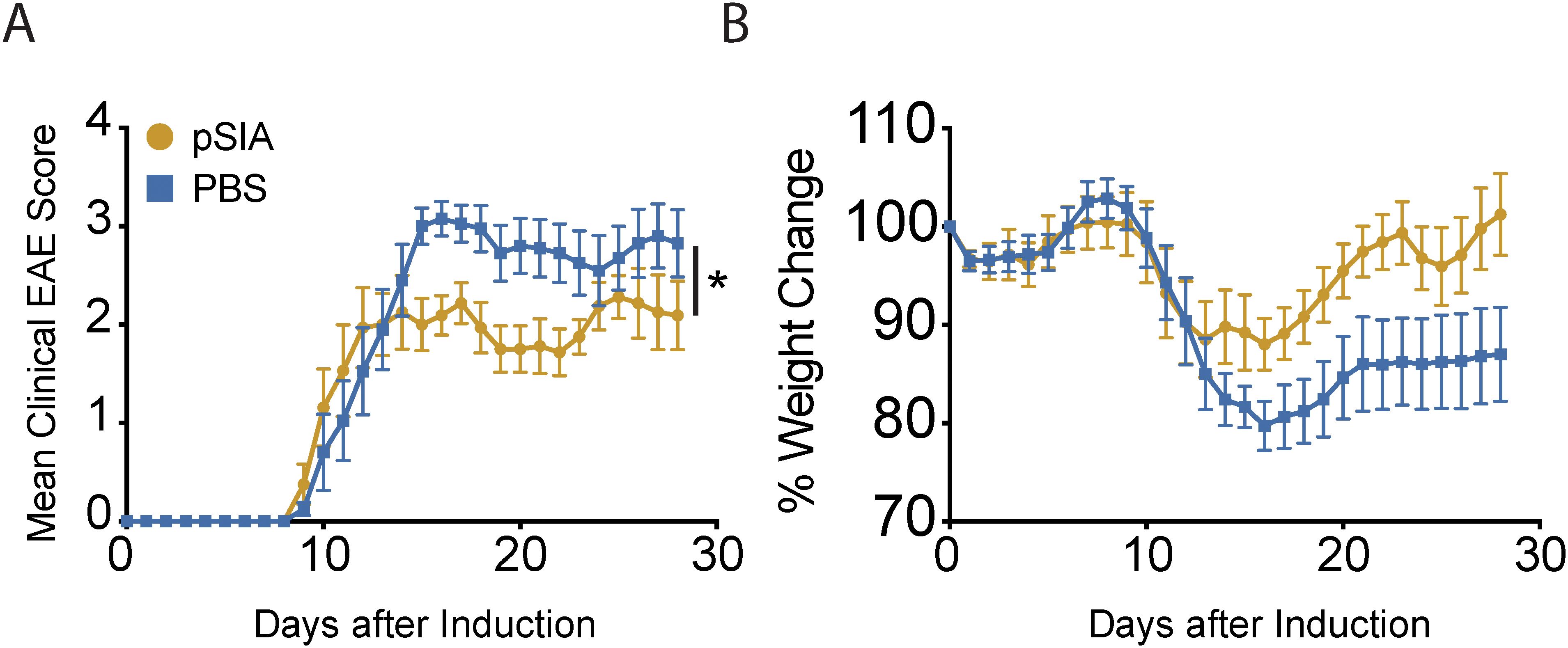 Graph A shows the mean clinical EAE scores for pSIA and PBS groups over 30 days post-induction, with the pSIA group remaining lower. Graph B depicts percent weight change, where the pSIA group also shows less fluctuation compared to the PBS group. Error bars indicate variability, and an asterisk marks a significant difference.