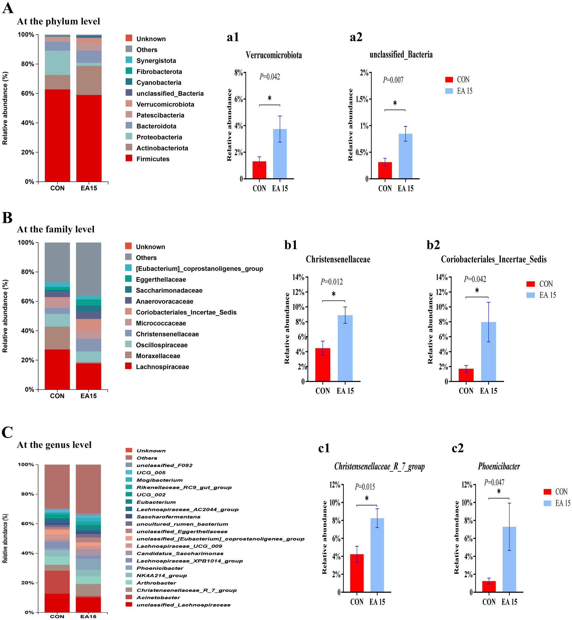 Bar charts and histograms comparing bacterial abundances between two groups (CON and EA15) at the phylum, family, and genus levels. At the phylum level, Verrucomicrobiota and unclassified Bacteria show significant differences. At the family level, Christensenellaceae and Coriobacteriales_Incertae_Sedis display notable variations. At the genus level, the Christensenellaceae_R_7_group and Phoenicibacter exhibit significant differences. Statistical significance is marked with asterisks and p-values.