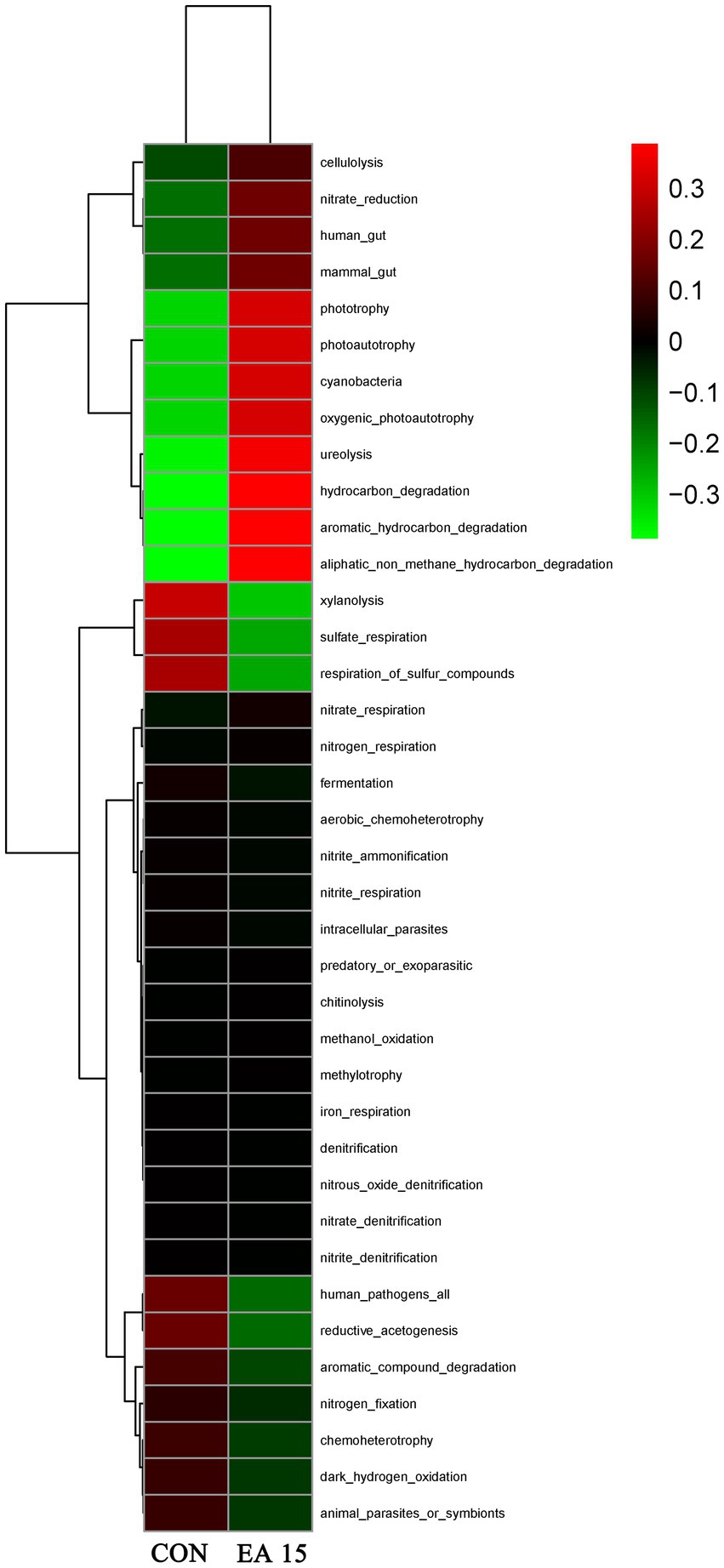 Heatmap showing clustering of various metabolic functions and environmental conditions. The rows represent different functions, while columns labeled