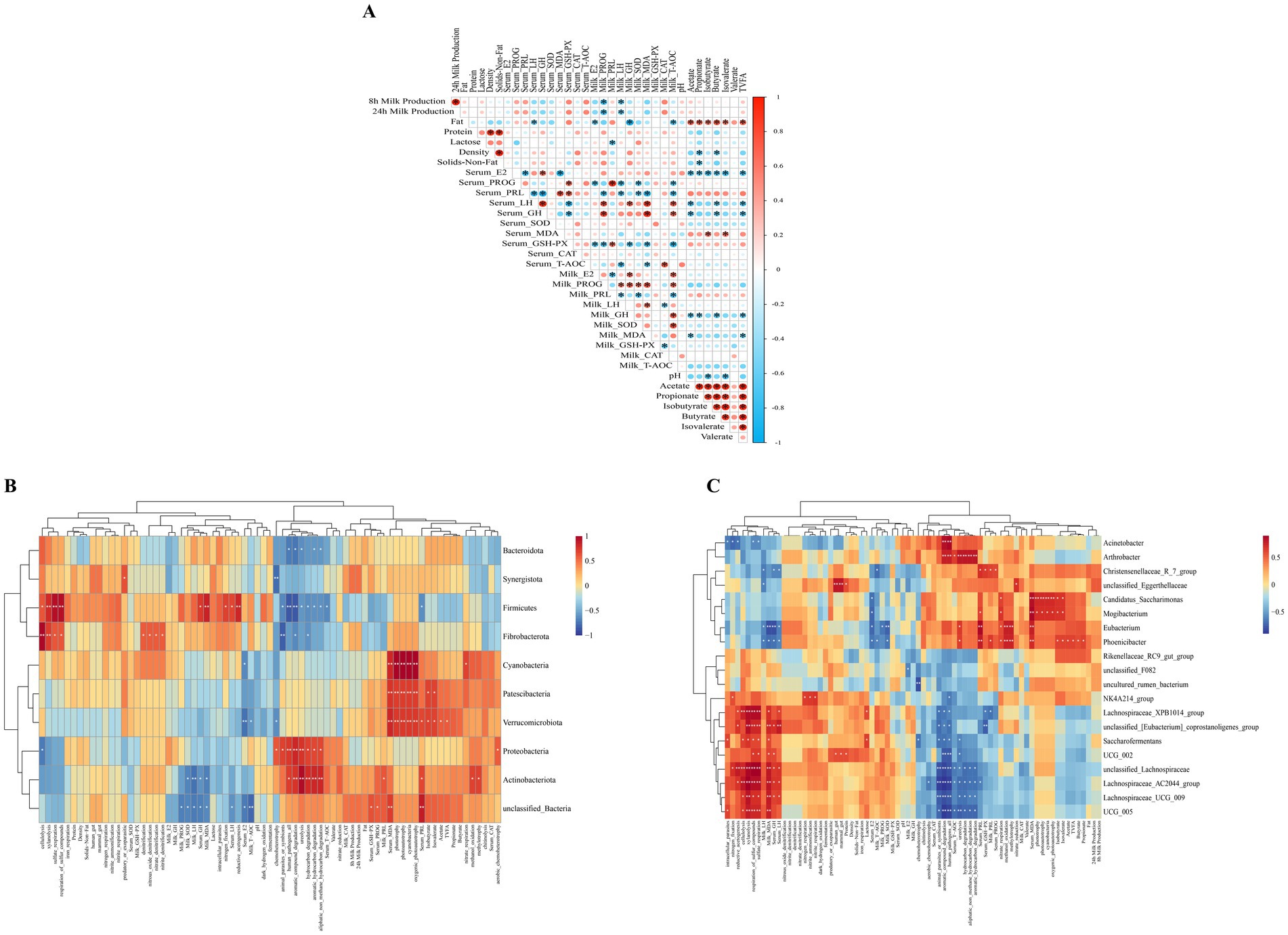 Three charts illustrating data on microbial composition and milk production. Chart A is a correlation matrix with colored squares indicating relationships between milk production and various variables. Chart B is a heatmap showing the correlations between bacterial taxa at the phylum level and the apparent production target. Chart C is another heatmap depicting the correlations between bacterial taxa at the genus level and the apparent production target. Both heatmaps use a color scale from blue to red, indicating low to high correlations.