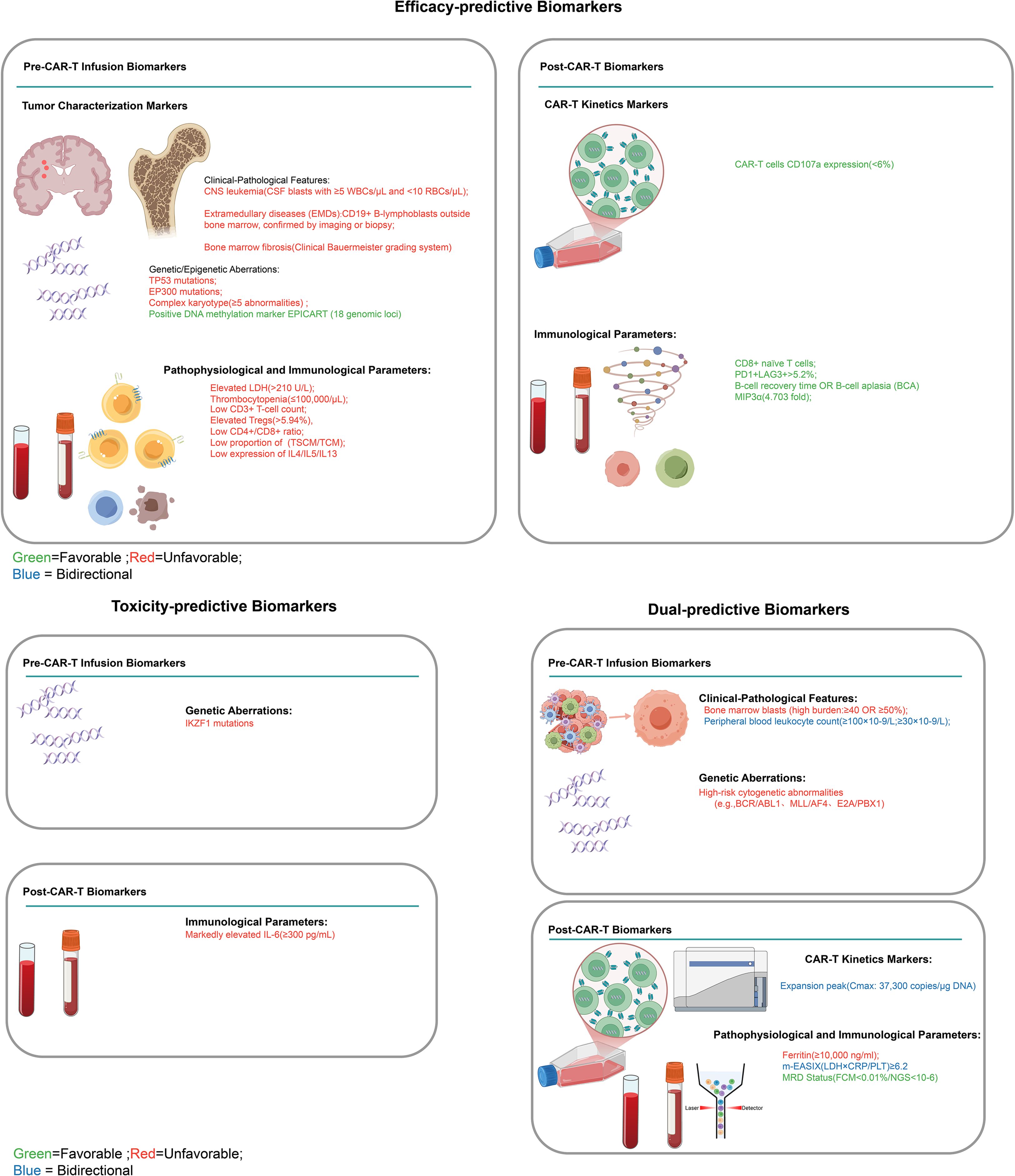 Efficacy-predictive biomarkers include pre-CAR-T infusion markers such as tumor characterization features, genetic/epigenetic aberrations, and various pathophysiological and immunological parameters. Post-CAR-T biomarkers focus on CAR-T kinetics and immunological parameters. Toxicity-predictive biomarkers highlight genetic aberrations and immunological factors like IL-6 levels. Dual-predictive biomarkers combine clinical-pathological features, genetic aberrations, CAR-T kinetics, and physiological markers. Colors indicate interpretive significance, with green being favorable, red unfavorable, and blue bidirectional.