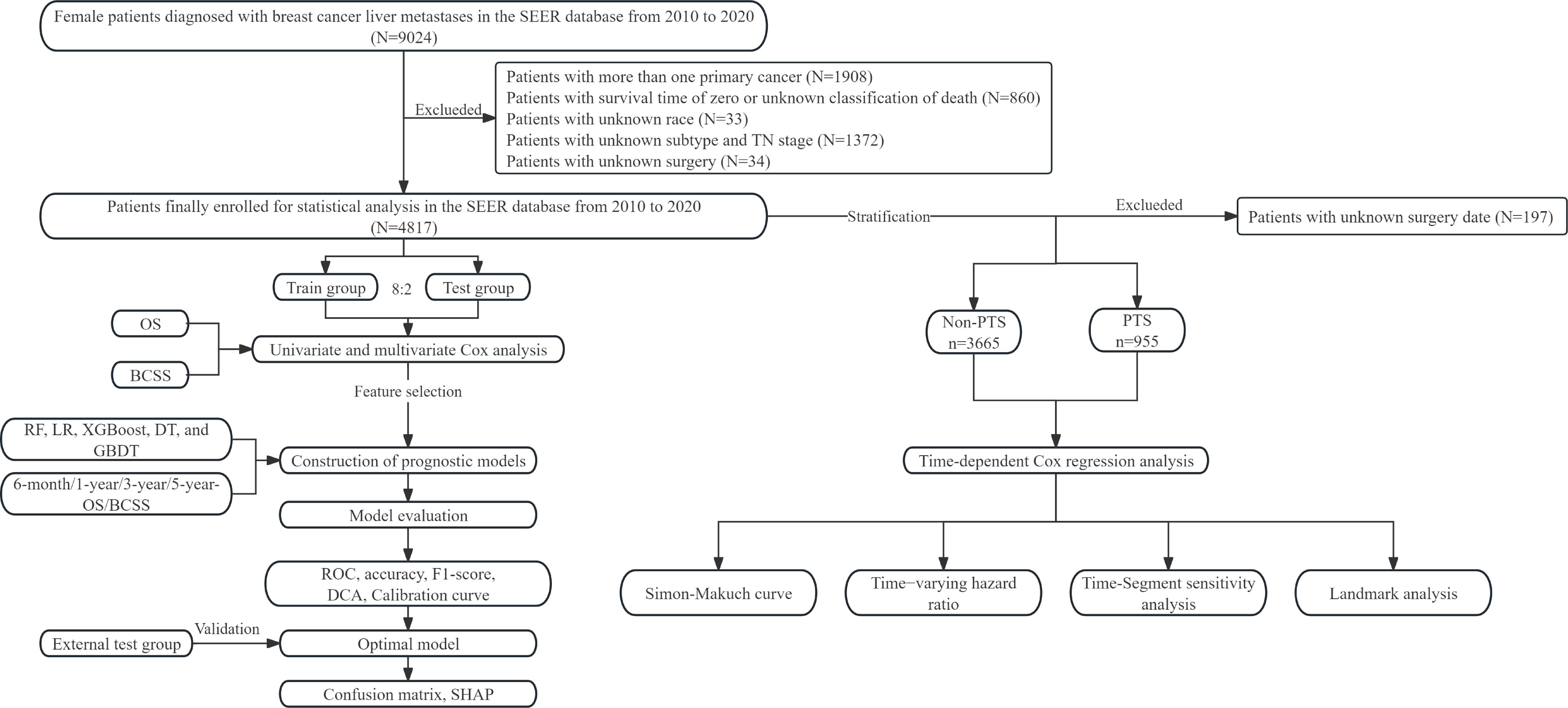 Flowchart detailing the selection and analysis process for female patients with breast cancer liver metastases in the SEER database (2010-2020). Out of 9024 patients, exclusions were made for multiple primary cancers, unknown survival or classification, race, subtype, TN stage, surgery. 4817 patients were analyzed and stratified into training and test groups. Cox regression and model evaluations were conducted, including prognostic models and time-dependent analyses. Further exclusions were applied for unknown surgery dates, leading to various analyses like Simon-Makuch curve, time-varying hazard ratio, and landmark analysis.