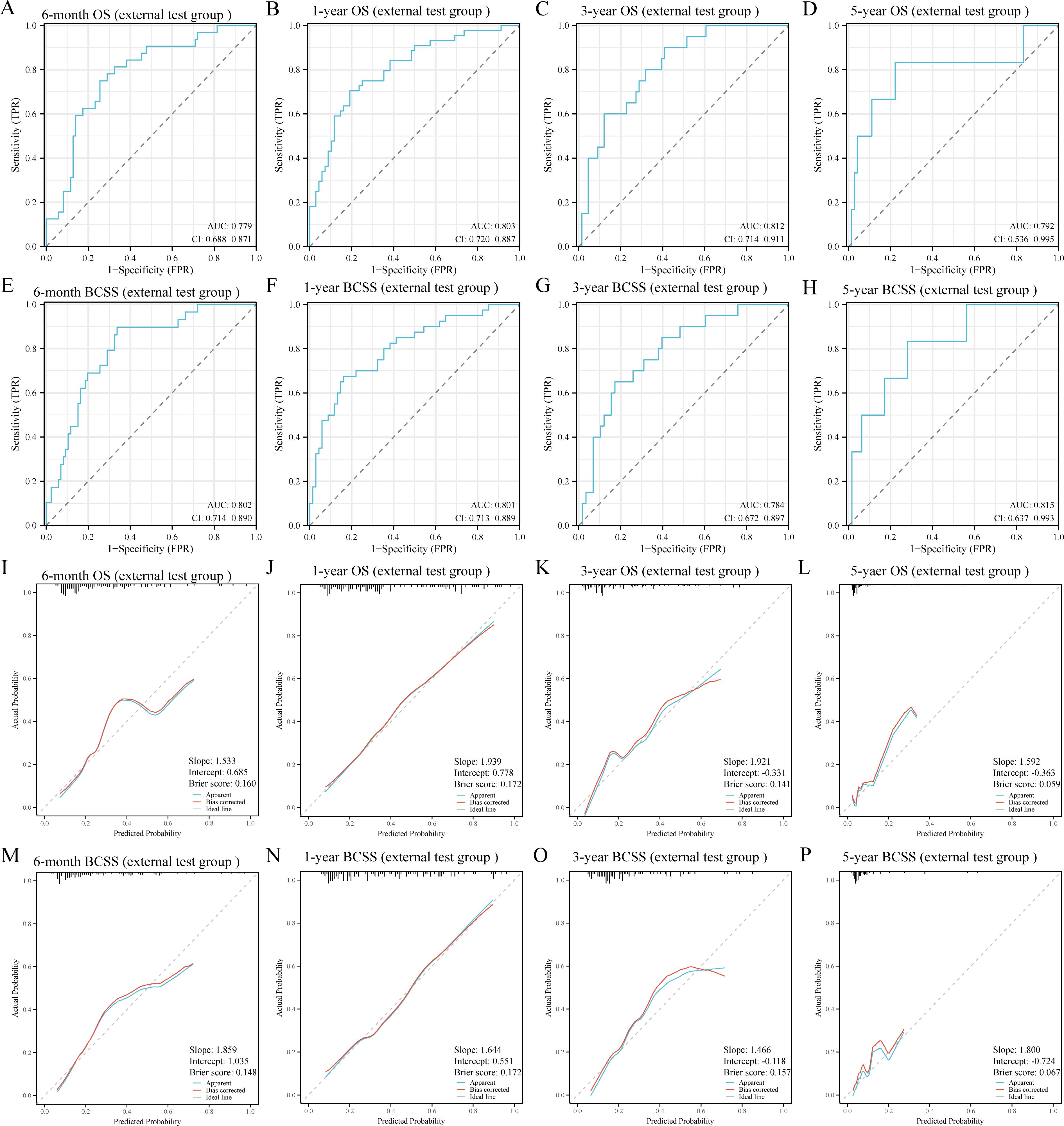 Eight graphs displaying ROC curves (A-H) and calibration plots (I-P) for overall survival (OS) and breast cancer-specific survival (BCSS) at different time intervals (6-month, 1-year, 3-year, and 5-year) for an external test group. ROC curves show sensitivity versus 1-specificity with AUC values noted. Calibration plots depict actual versus predicted probabilities with slope and intercept values. Each graph includes a reference line for comparison.