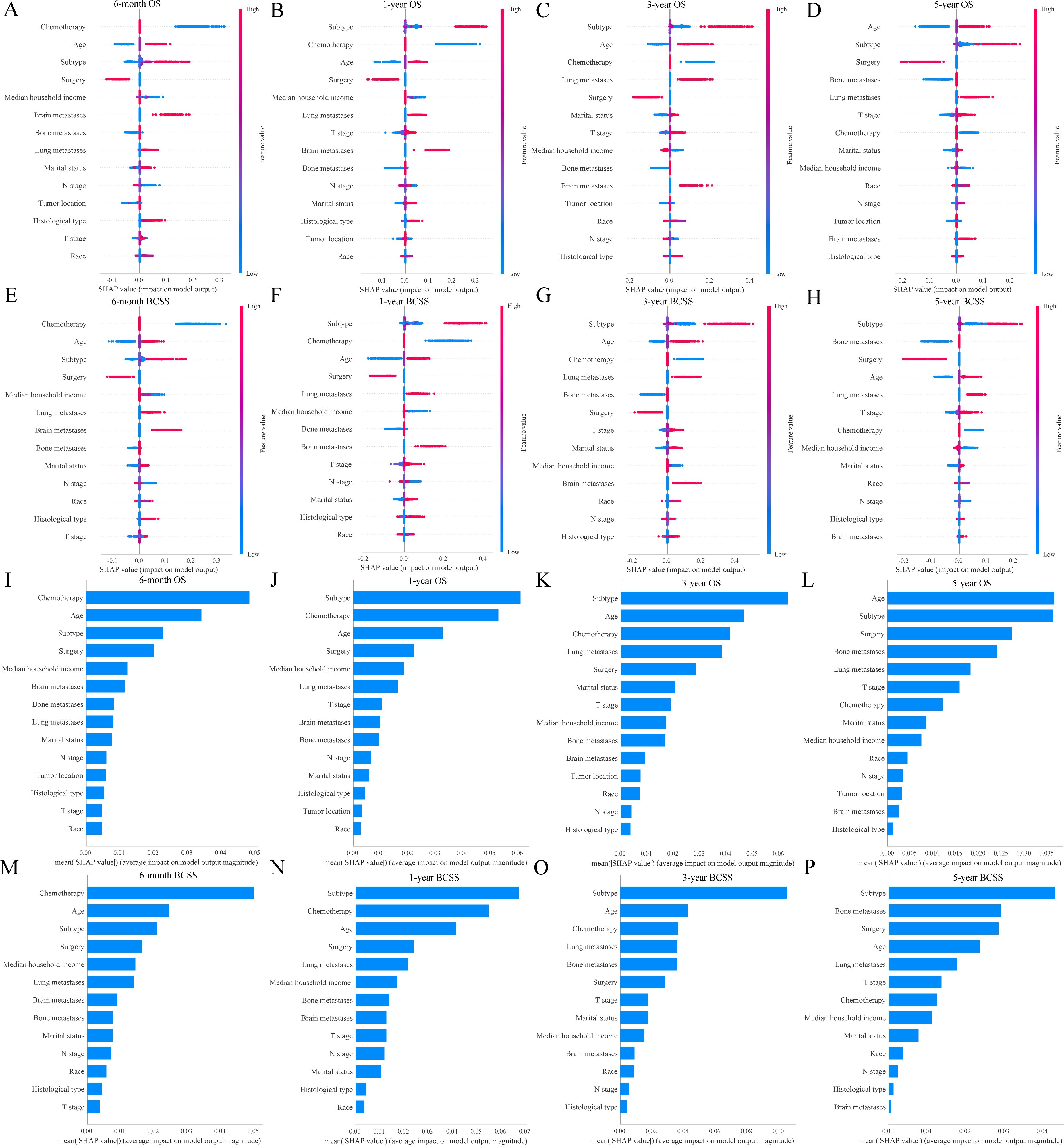 Graphs display statistical data for overall survival (OS) and breast cancer-specific survival (BCSS) across multiple time intervals: 6 months, 1 year, 3 years, and 5 years. Panels A to H show hazard ratios with forest plots highlighting various factors like chemotherapy, age, and subtype. Panels I to P present bar charts of their respective contributions with mean absolute SHAP (SHapley Additive exPlanations) values. Red and blue colors distinguish influence strengths. Each graph compares numerous factors affecting survival outcomes in breast cancer patients over time.