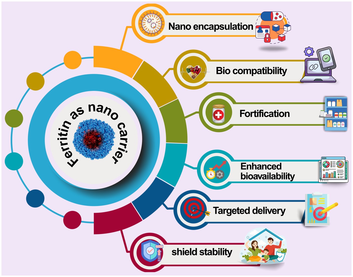 Diagram illustrating the benefits of ferritin as a nano carrier, including nano encapsulation, biocompatibility, fortification, enhanced bioavailability, targeted delivery, and shield stability. Each benefit is represented by an icon.