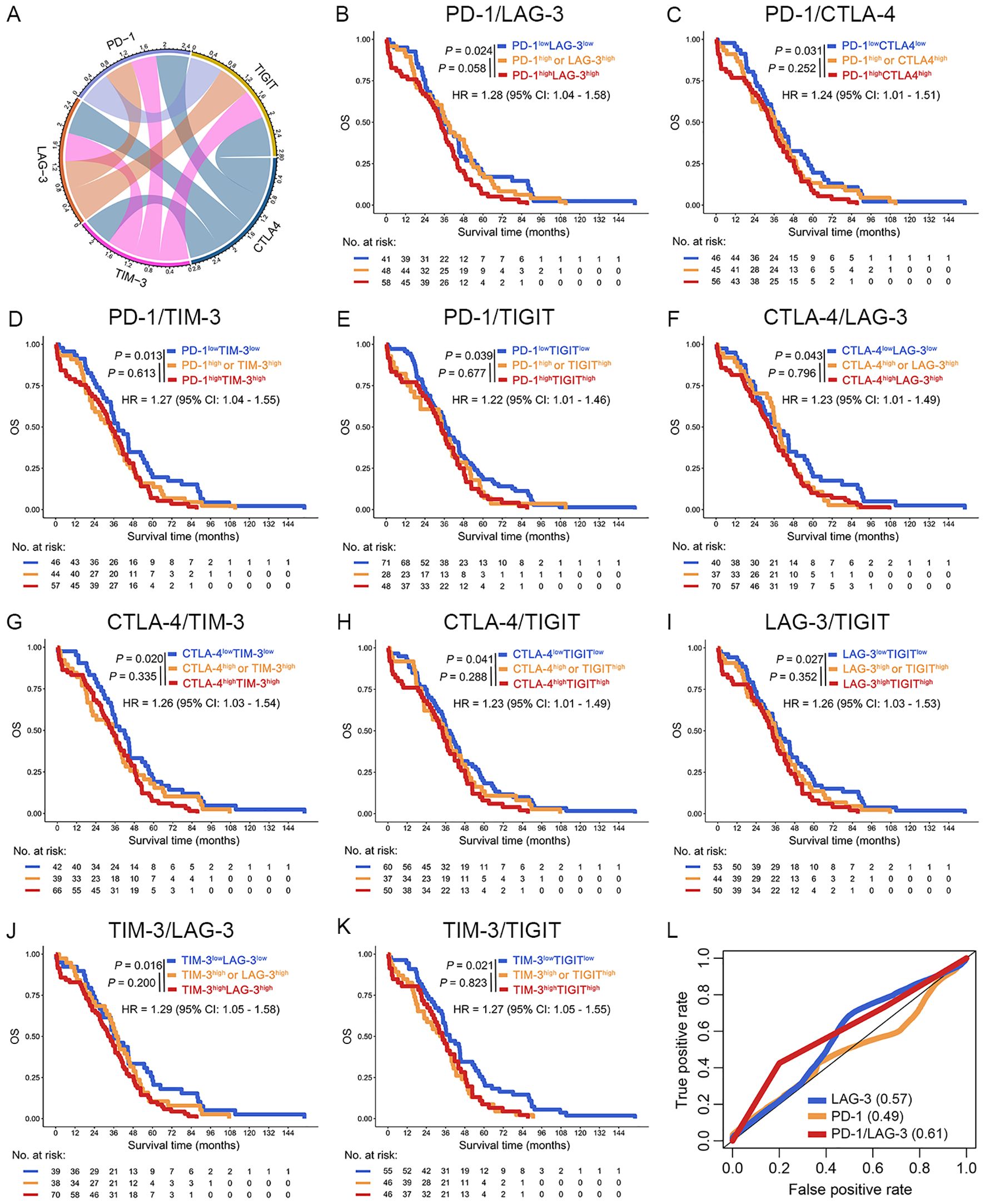 A series of graphs and a circular diagram illustrate the relationship between various immune checkpoints and cancer prognosis. Panel A shows a circos plot with interactions among PD-1, LAG-3, CTLA-4, TIM-3, and TIGIT. Panels B to K display Kaplan-Meier survival curves comparing overall survival based on different combinations of immune checkpoint expressions. Each graph includes hazard ratios and P-values. Panel L presents a schematic indicating poor prognosis associated with PD-1 and LAG-3 interaction, represented by cell diagrams and silhouettes.