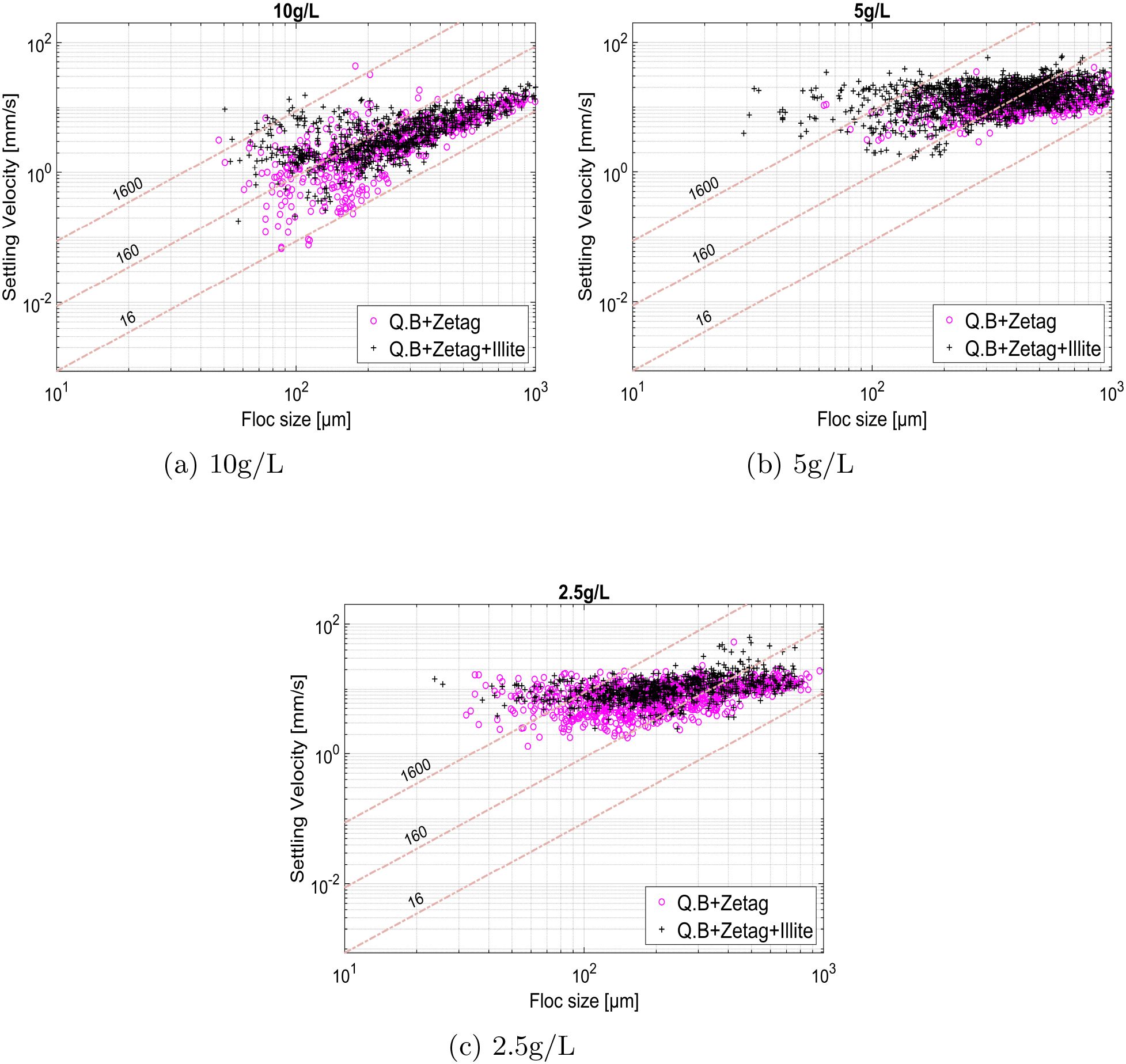 Three scatter plots compare settling velocity versus floc size for different concentrations: (a) 10 grams per liter, (b) 5 grams per liter, and (c) 2.5 grams per liter. Each plot includes data points for “Q.B+Zetag” and “Q.B+Zetag+Illite.” Trend lines labeled 1600, 160, and 16 are visible. Data points are plotted on logarithmic scales.