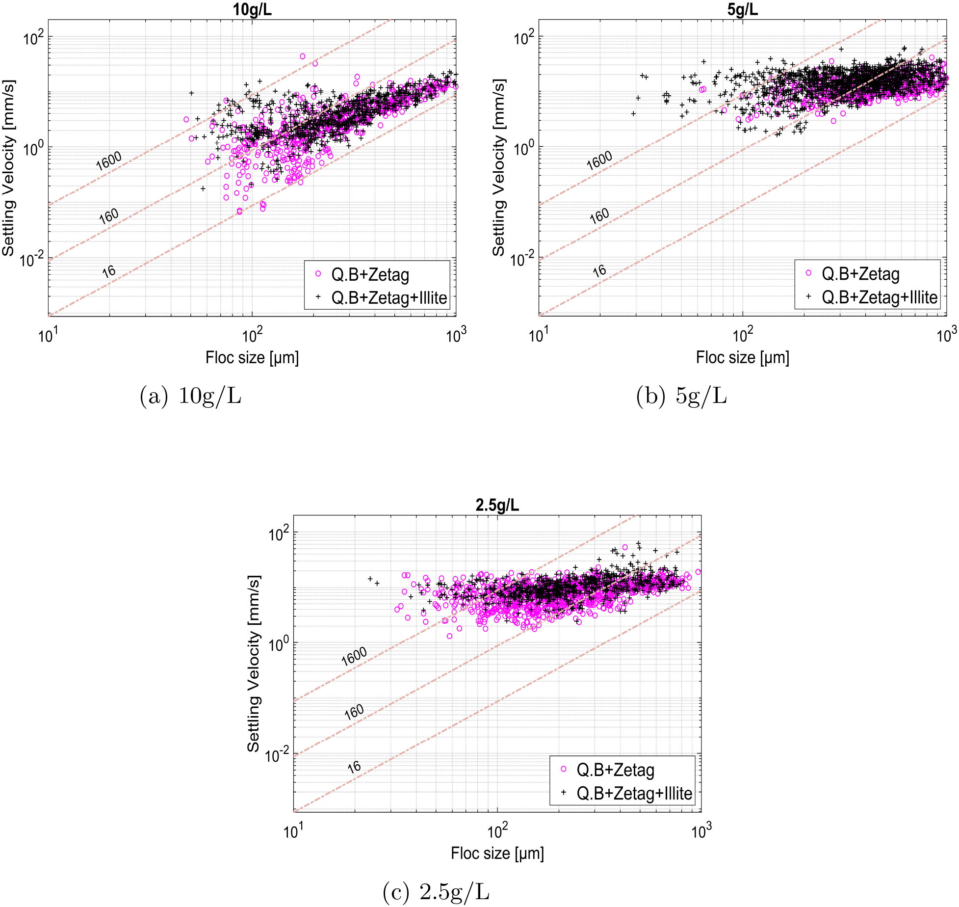 Three scatter plots compare settling velocity versus floc size for different concentrations: (a) 10 grams per liter, (b) 5 grams per liter, and (c) 2.5 grams per liter. Each plot includes data points for “Q.B+Zetag” and “Q.B+Zetag+Illite.” Trend lines labeled 1600, 160, and 16 are visible. Data points are plotted on logarithmic scales.