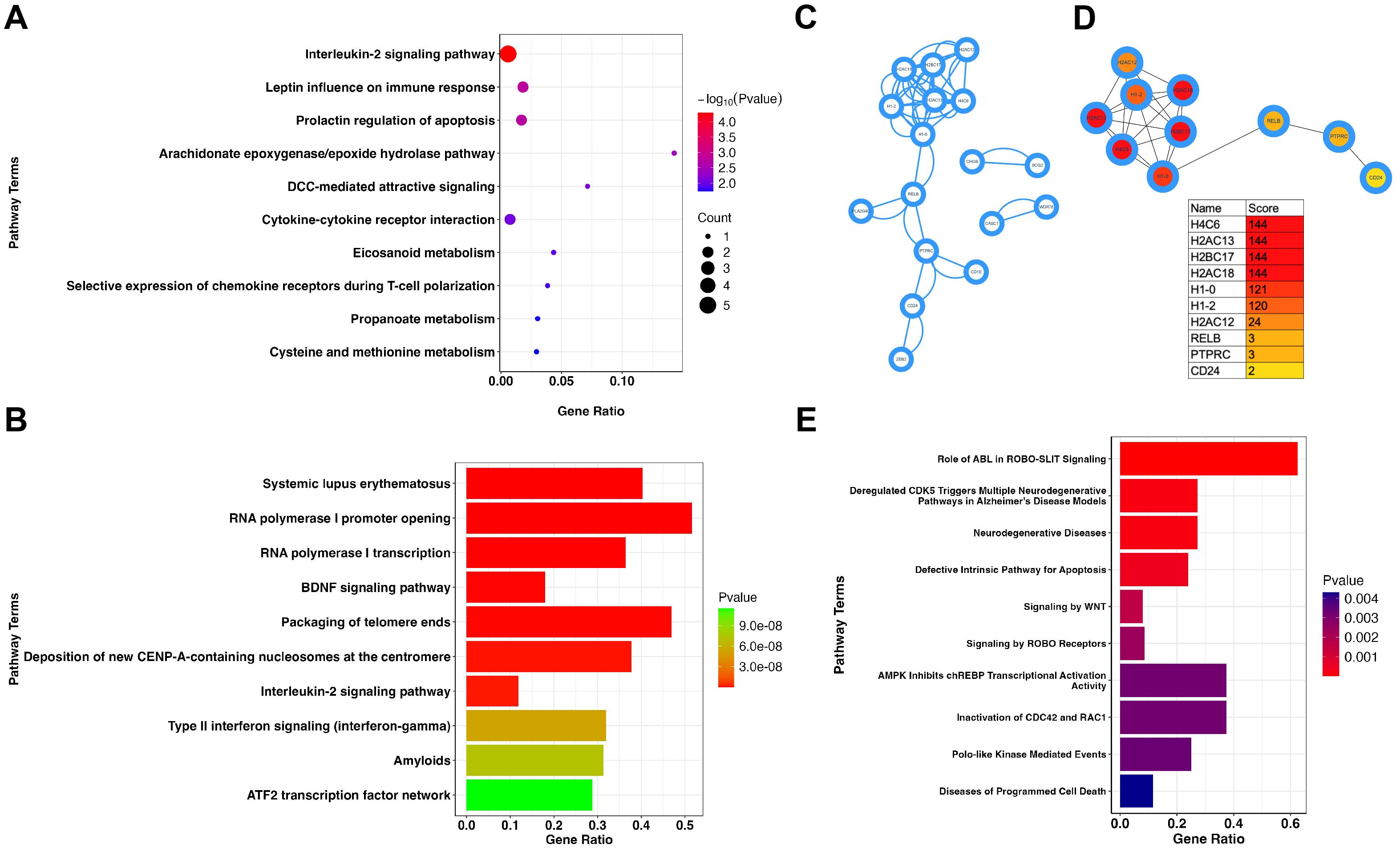Panel A displays a dot plot showing pathway terms against gene ratio, colored by -log10(p-value) and sized by count. Panel B presents a bar graph with pathway terms versus gene ratio, colored by p-value. Panel C illustrates a network diagram of interconnected nodes. Panel D shows a network with color-coded nodes connected by lines, accompanied by a chart listing names and scores. Panel E features a bar graph with pathway terms against gene ratio, colored by p-value.