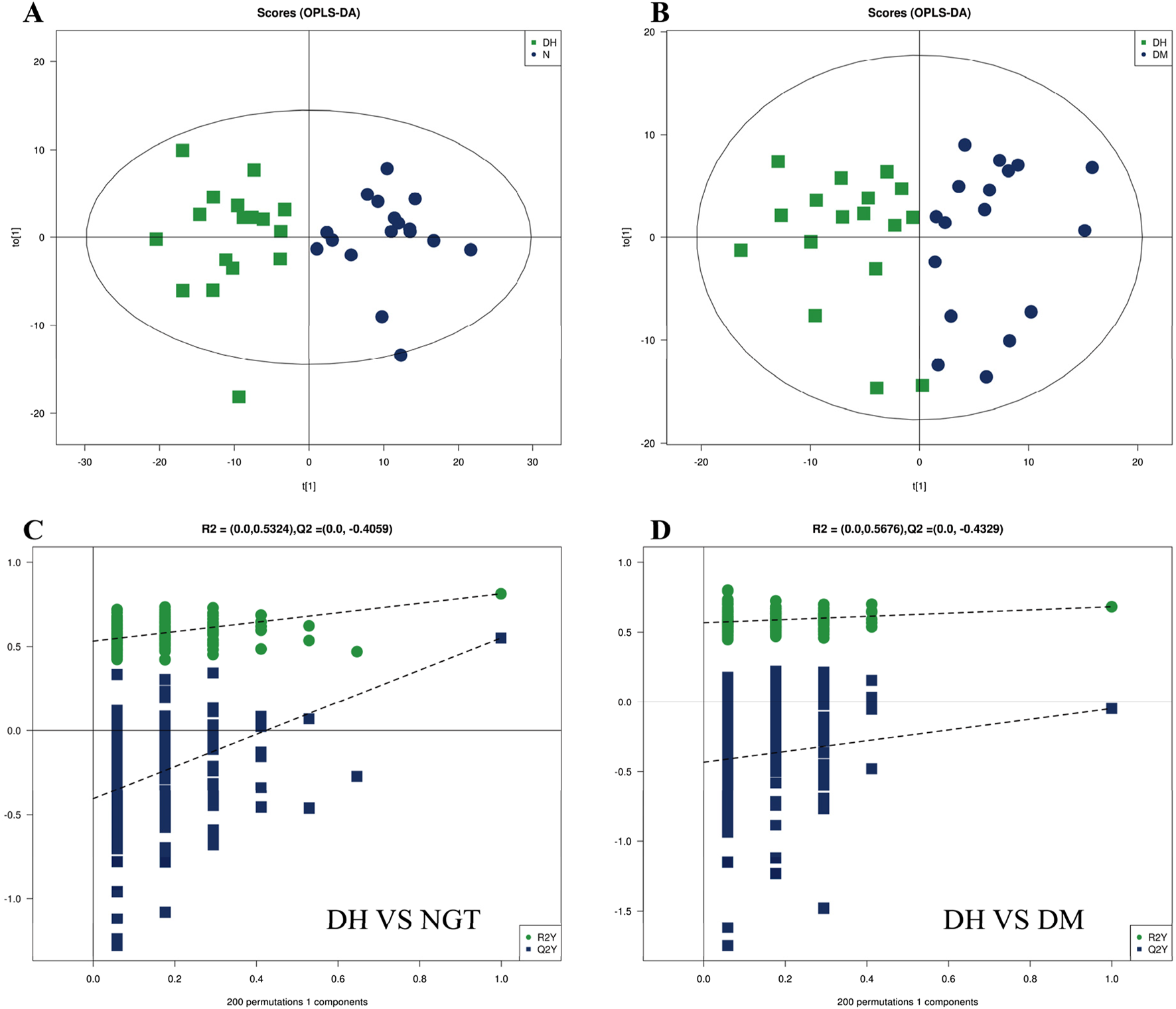 Four panels show OPLS-DA analysis and permutation test results. Panel A compares DH and N, with green squares and blue circles. Panel B compares DH and DM, similarly marked. Panels C and D display permutation test results for DH vs. NGT and DH vs. DM, respectively, with green circles for R2Y and blue squares for Q2Y.