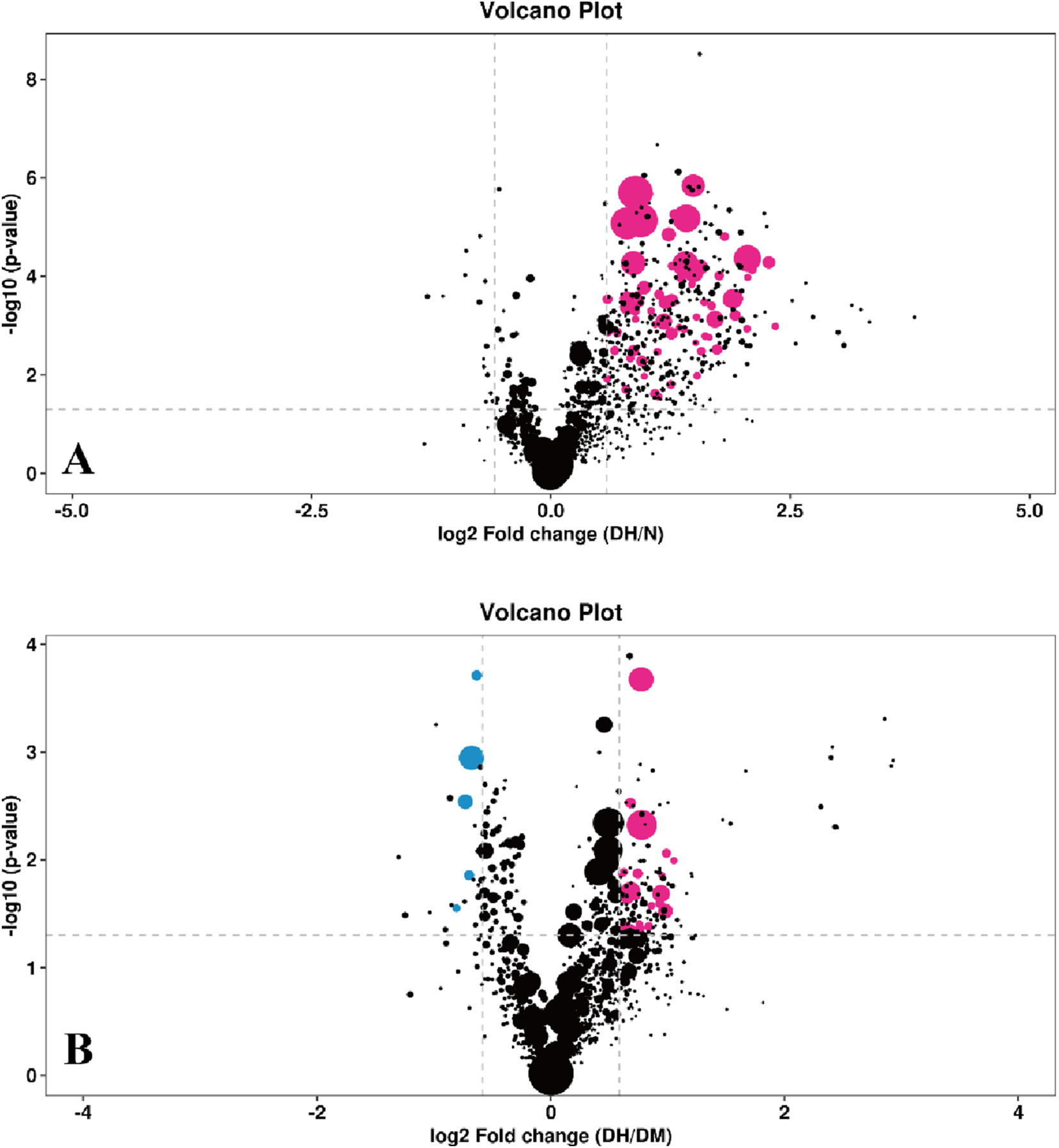Two volcano plots labeled A and B. Plot A shows the log2 fold change (DH/N) versus negative log10 p-values. Pink and black dots represent data points, with pink indicating higher significance. Plot B compares log2 fold change (DH/DM) with similar axes, featuring pink and blue dots, with pink indicating higher significance. Both plots highlight significant data points on the right side.