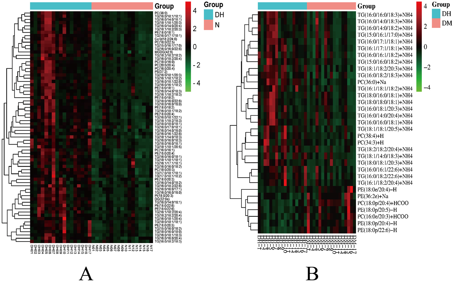 Heatmaps labeled A and B display clustered data with red and green gradients, indicating values ranging from minus four to four. Both heatmaps show groupings named DH and N for A, and DH and DM for B. Each heatmap includes a color bar legend and dendrograms on the left, with the x-axis labeled with sample IDs and the y-axis with compound names.