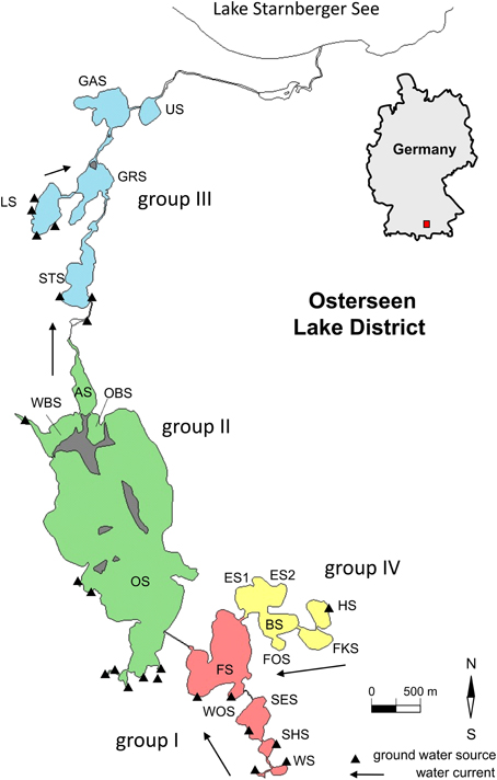 www.frontiersin.org