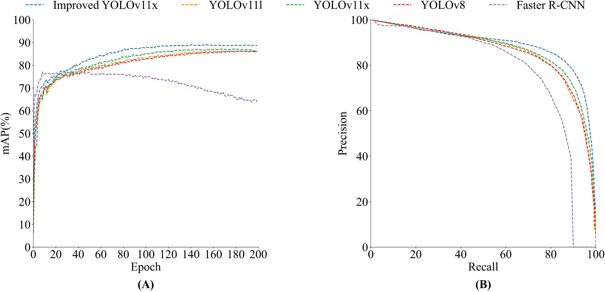 Graph (A) shows mAP percentage versus epoch for object detection models: Improved YOLOv11x, YOLOv11l, YOLOv11x, YOLOv8, and Faster R-CNN. All models improve over epochs. Graph (B) illustrates precision versus recall for the same models, with similar precision but decreasing recall as recall increases.