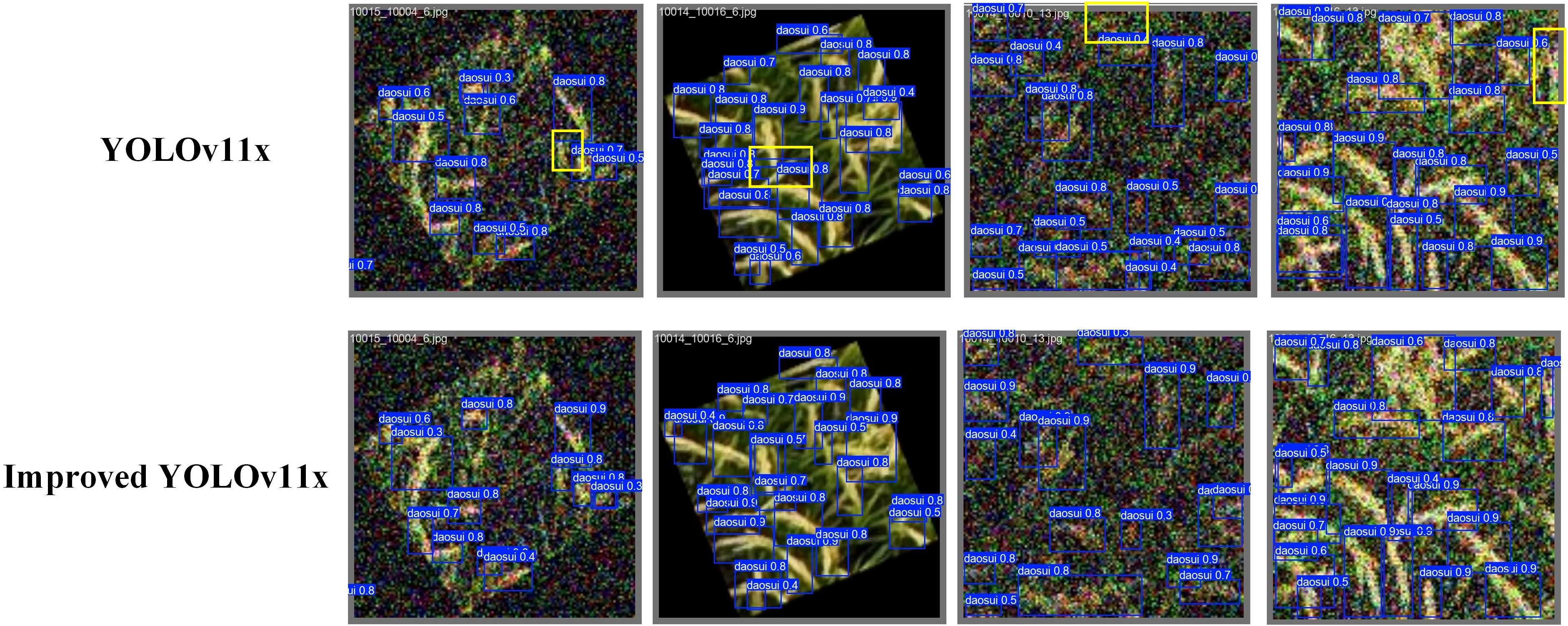 Comparison of YOLOv11x and Improved YOLOv11x object detection outputs. Both rows show images with multicolored noise, labeled with bounding boxes. The top row displays results from YOLOv11x, and the bottom row from Improved YOLOv11x, both detecting objects labeled as “daosui” with confidence scores. Improved YOLOv11x shows more effective detection with higher confidence scores and denser labeling.