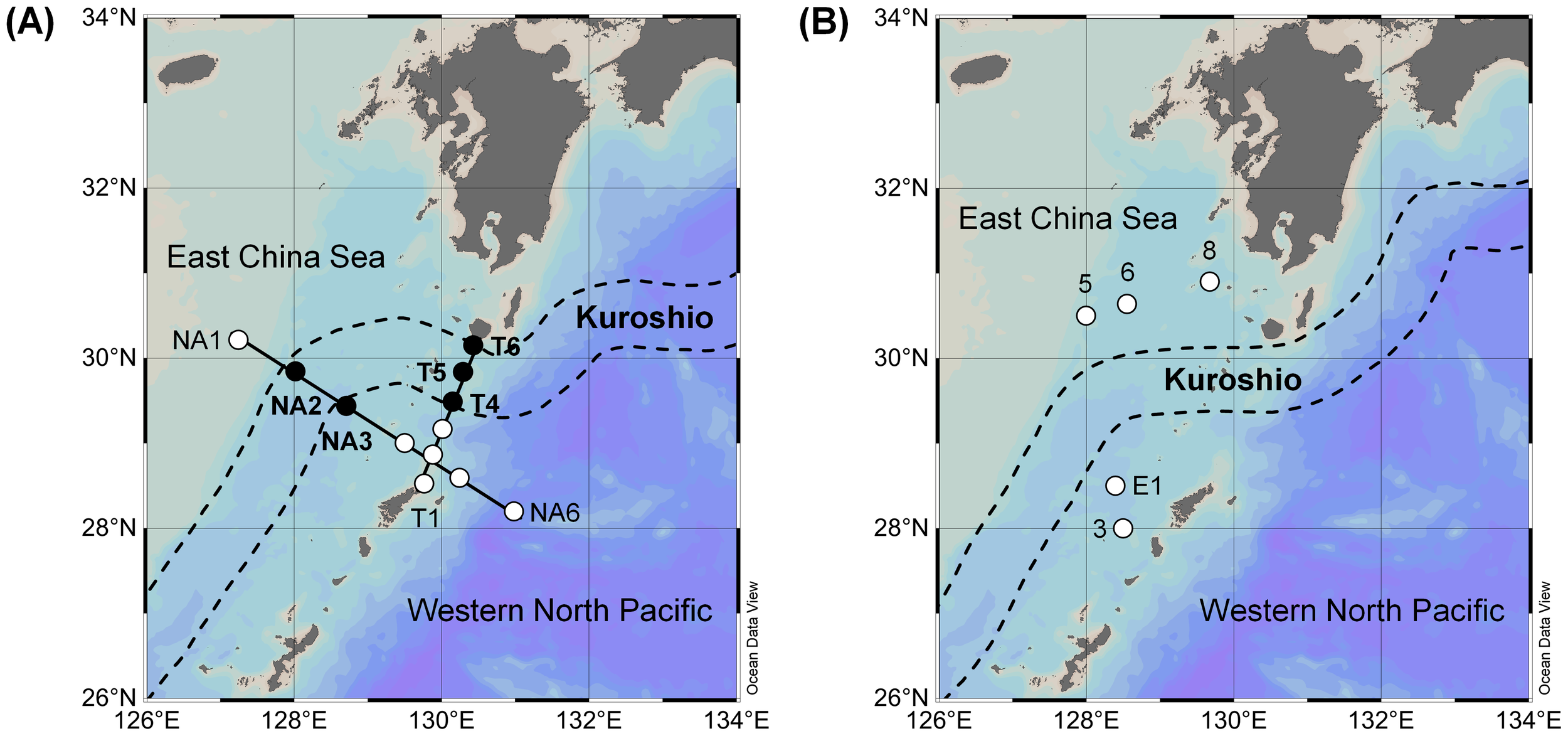 Map showing the East China Sea and the Kuroshio current in two panels: (A) highlights research stations NA1 to NA6 and T1 to T6 with dashed lines marking the Kuroshio current path. (B) depicts station locations 3, 5, 6, 8, and E1 within the East China Sea and the Western North Pacific, also marked with the Kuroshio current path.