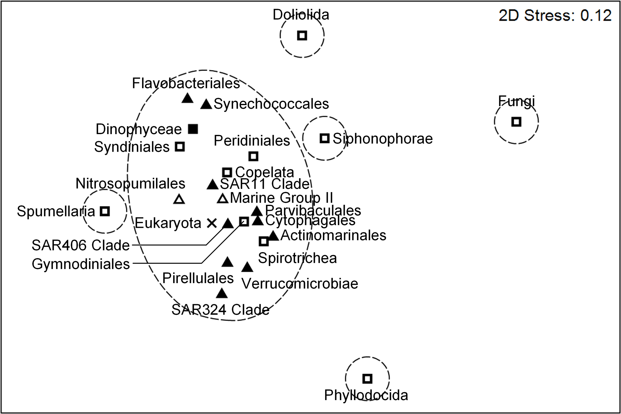 Diagram displaying multidimensional scaling of various microbial groups represented by symbols such as squares, triangles, and circles, with labels including Flavobacteriales, Synechococcales, Eukaryota, and more. Dotted lines encircle groups like Spumellaria and Siphonophorae. The 2D stress value is 0.12.