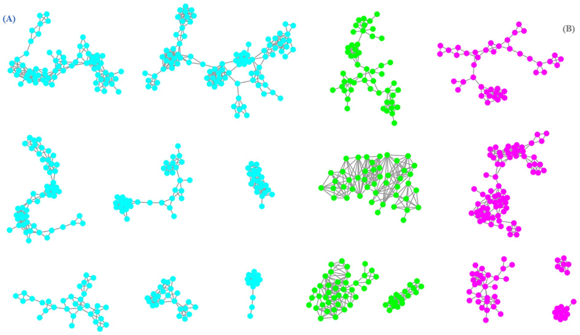 Network graph comparison showing three types of node clusters in different colors: cyan (A), green, and magenta (B). Cyan clusters represented coumarins, magenta clusters represented cinnamic acids,and green clusters represented co-existence of coumarins and cinnamic acids, which were densely connective, illustrating the correlation of coumarins and cinnamic acids.