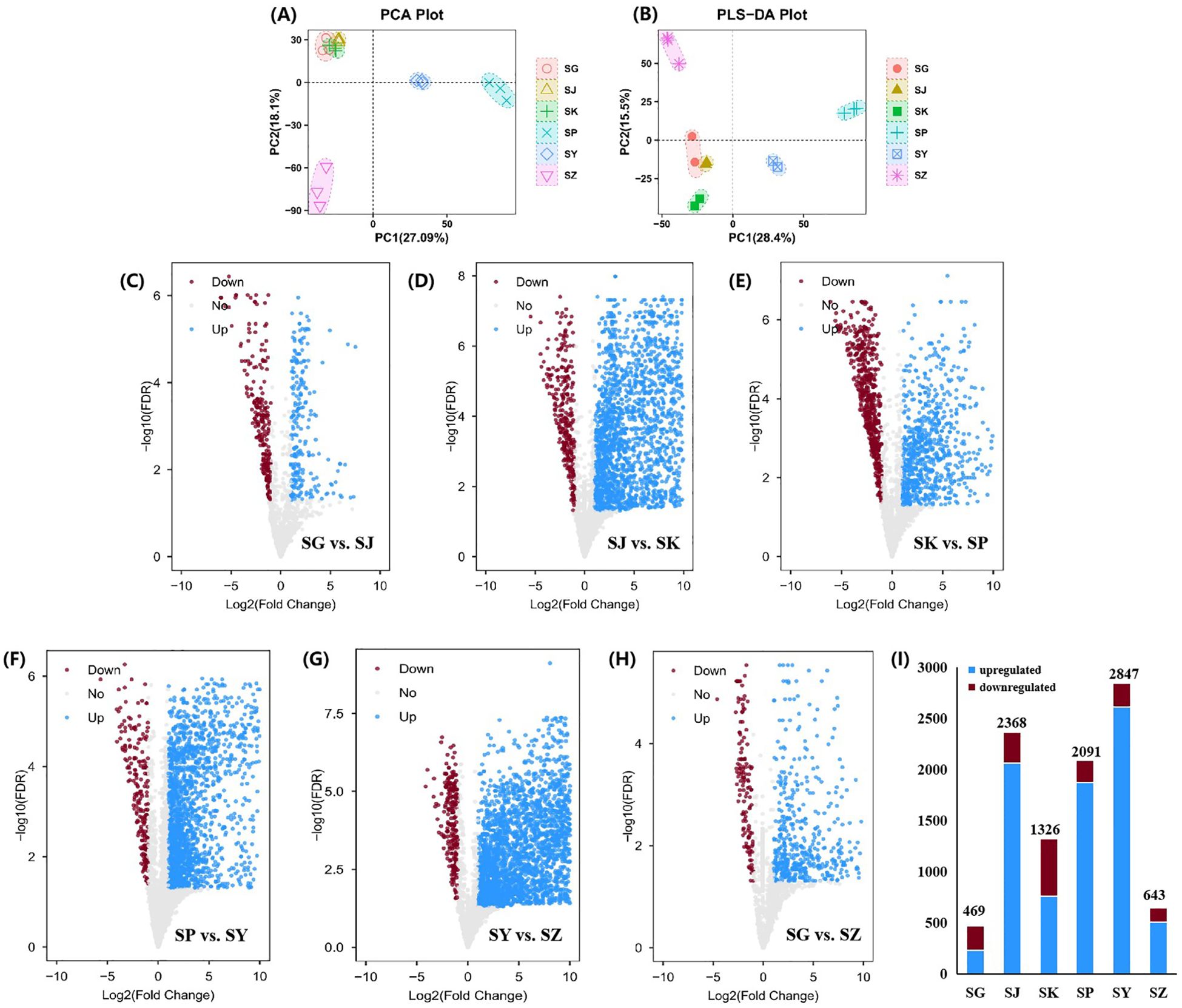 PCA and PLS-DA plots (A and B) show clustering of samples SG, SJ, SK, SP, SY, and SZ based on two principal components. Volcano plots (C to H) display log2 fold changes against negative log10 FDR values for different sample comparisons, indicating upregulated (blue) and downregulated (red) data points. Bar graph (I) presents counts of upregulated and downregulated entries for each sample group, with blue indicating upregulated and red indicating downregulated.