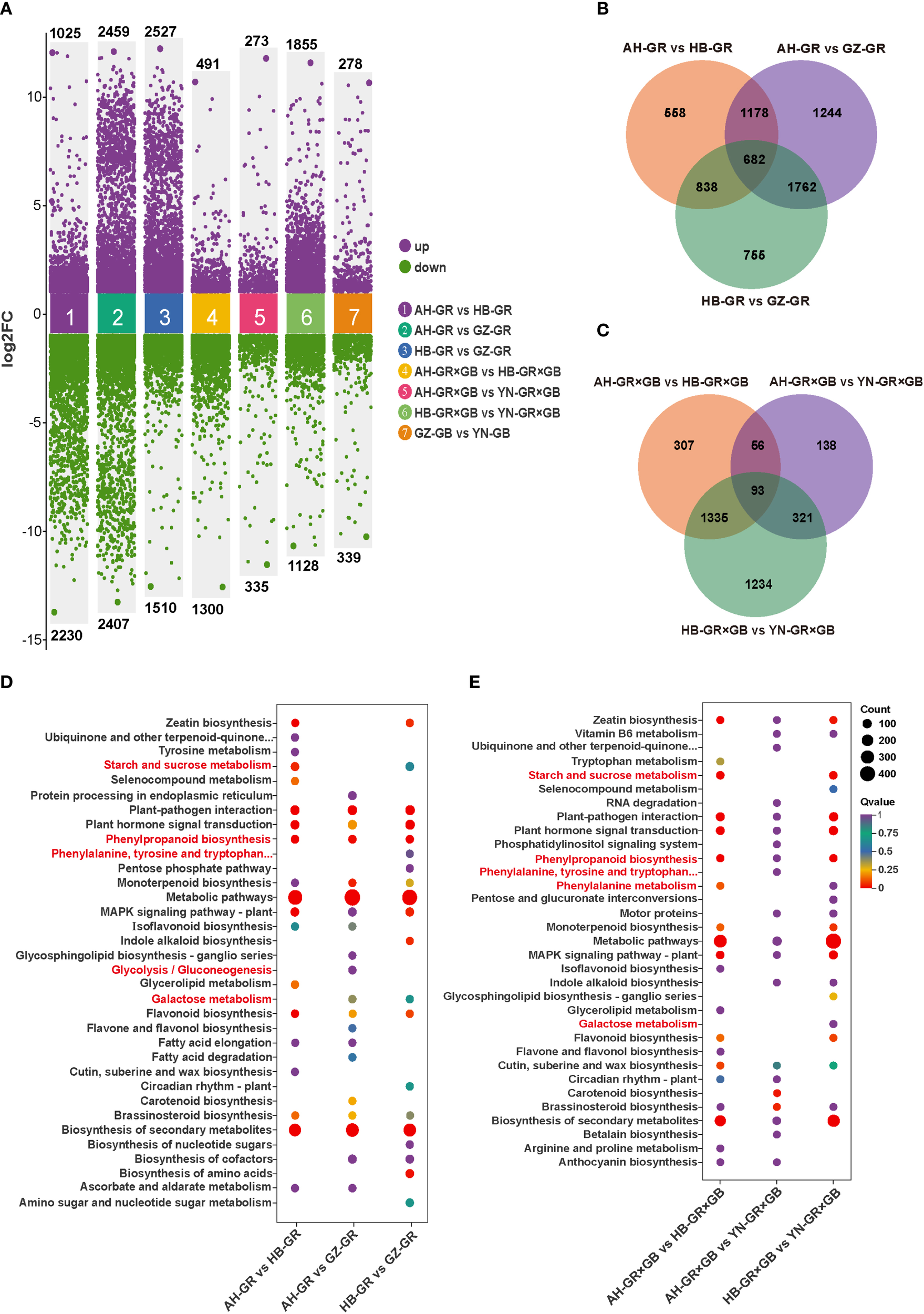 A set of data visualizations showing differential gene expression and metabolic pathway analysis. Panel A displays log2 fold change scatter plots for seven comparisons, labeled 1 to 7, with upregulated genes in purple and downregulated genes in green. Panels B and C show Venn diagrams illustrating overlaps in differentially expressed genes for the comparisons. Panels D and E depict bubble charts for metabolic pathways affected in various comparisons, with bubble size representing the count and color indicating the Q value. Different comparisons are shown, including AH-GR vs HB-GR and others, with a color-coded legend.