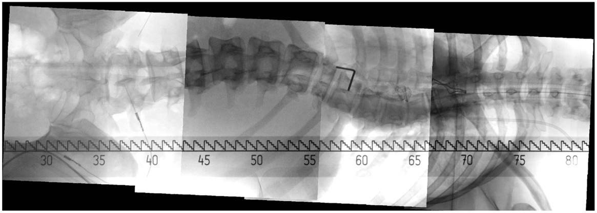 ComputerIntegrated Surgery Technology and Clinical Applications