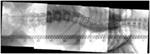 www.frontiersin.org