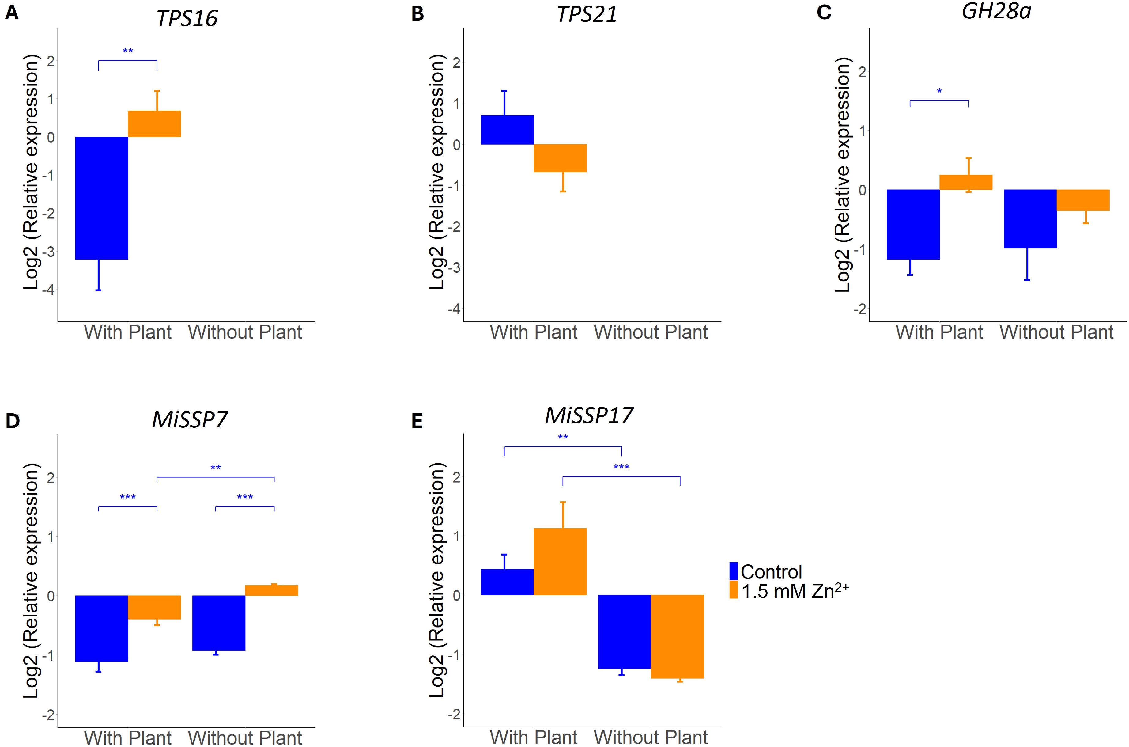 Bar charts labeled A to E show the log2 relative expression of genes TPS16, TPS21, GH28a, MiSSP7, and MiSSP17 under two conditions: with plant (blue) and without plant (orange). Error bars and significance levels are indicated, with a legend showing two treatments: Control and 1.5 millimolar Zn2+.