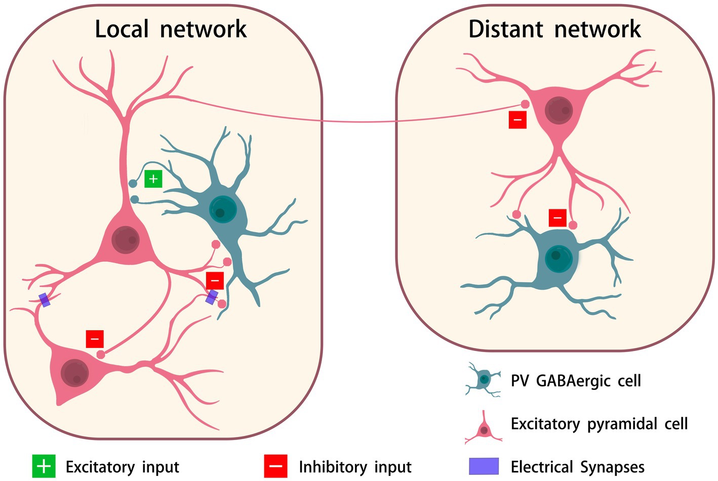 Diagram illustrating a neural network with two sections: