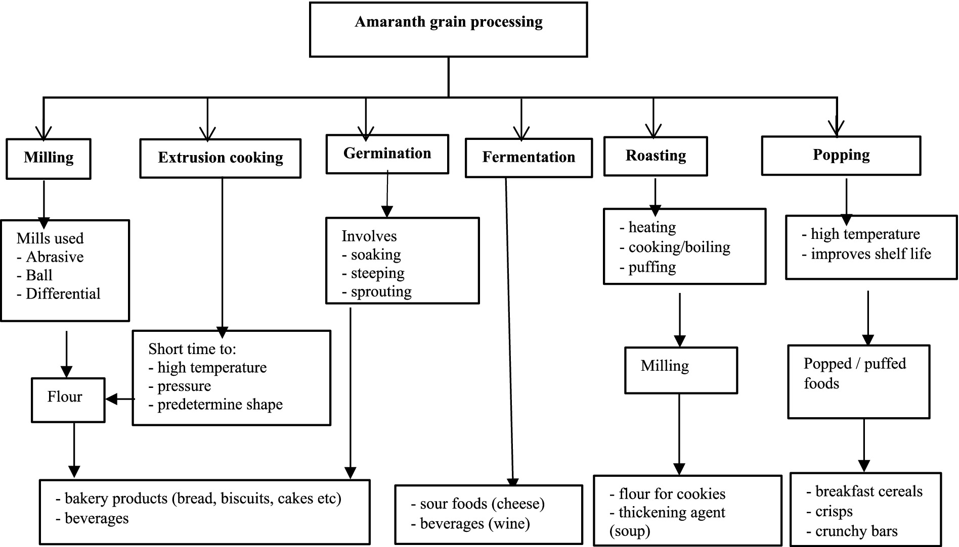 Flowchart showing amaranth grain processing with six main methods: milling, extrusion cooking, germination, fermentation, roasting, and popping. Each method leads to different outcomes. Milling utilizes abrasive, ball, and differential mills to produce flour, which is used in bakery products and beverages. Extrusion cooking involves short-time high temperature and pressure, resulting in bakery products. Germination involves soaking and sprouting, leading to sour foods and beverages. Fermentation follows similar processes. Roasting involves heating, boiling, and puffing; the product is milled into flour for cookies and as a thickening agent. Popping uses high temperature to produce breakfast cereals and snacks.