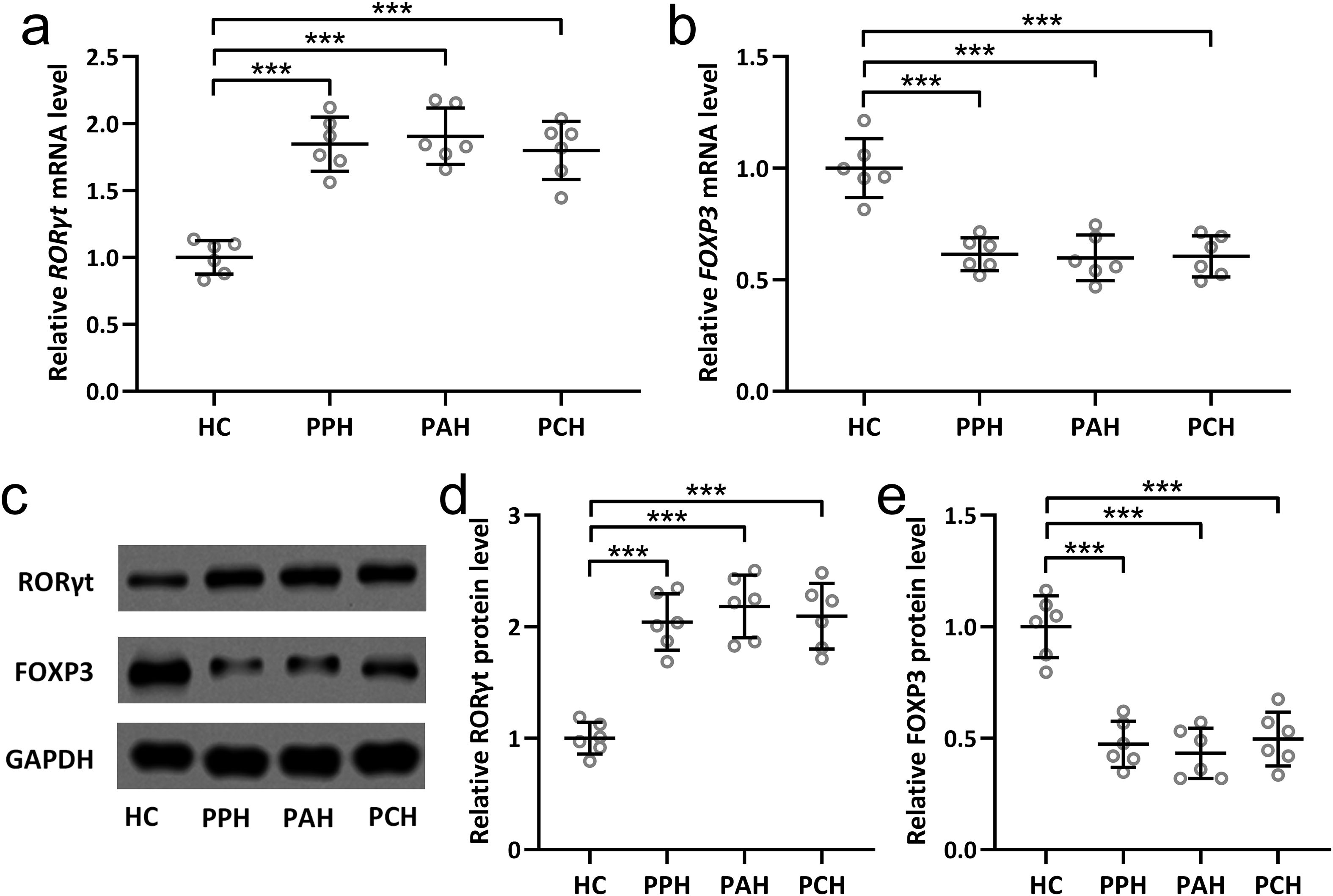 Graphs and a blot image compare RORγt and FOXP3 mRNA and protein levels in different groups: HC (healthy controls), PPH, PAH, and PCH. Graphs (a) and (d) show increased RORγt levels in patients. Graphs (b) and (e) illustrate reduced FOXP3 levels. Image (c) displays Western blot results, indicating protein expression differences. Significant differences are marked with asterisks.